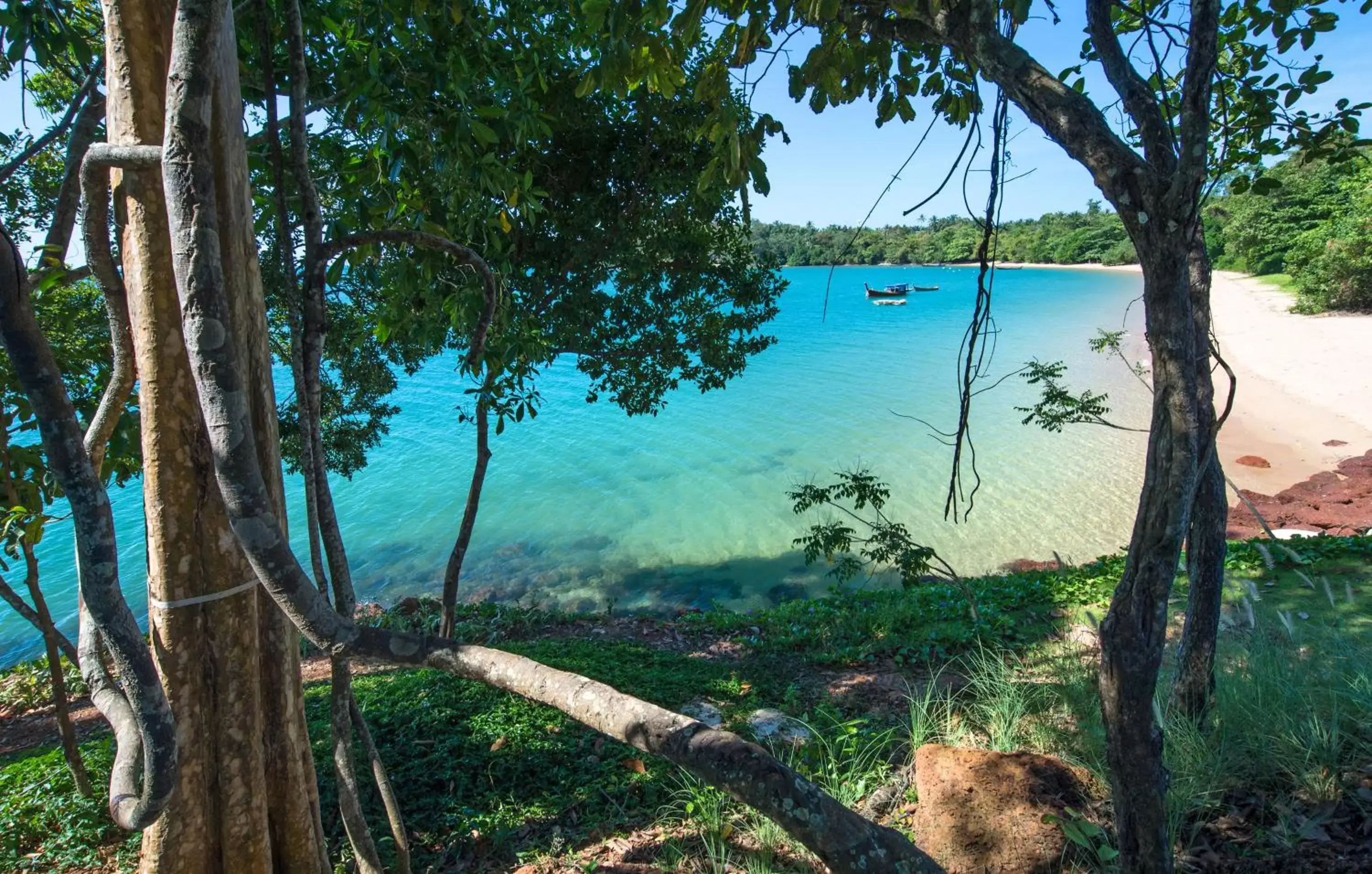 Beach in The ShellSea Krabi-SHA Extra Plus