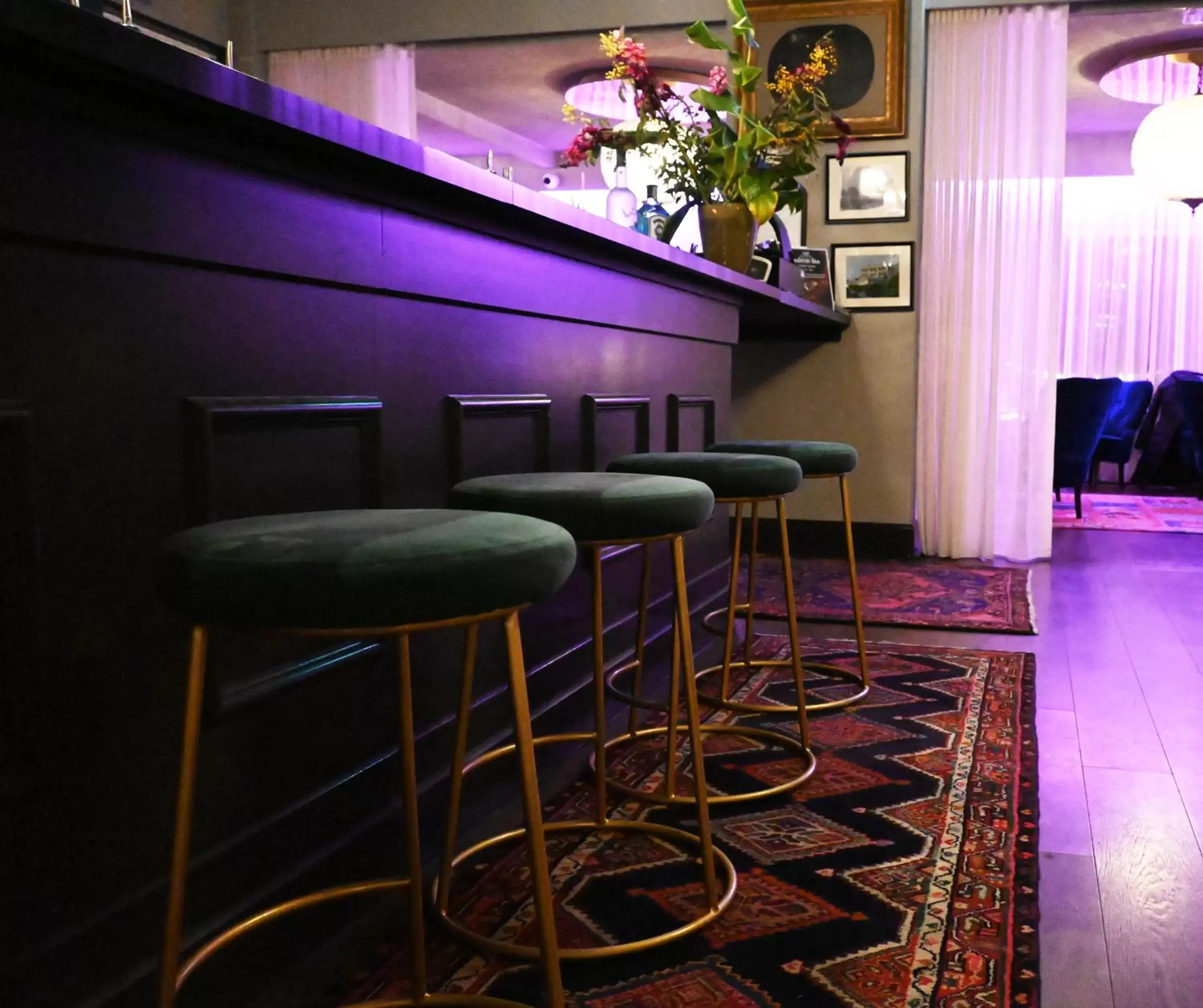Lounge or bar, Lounge/Bar in The Oriana, Orange