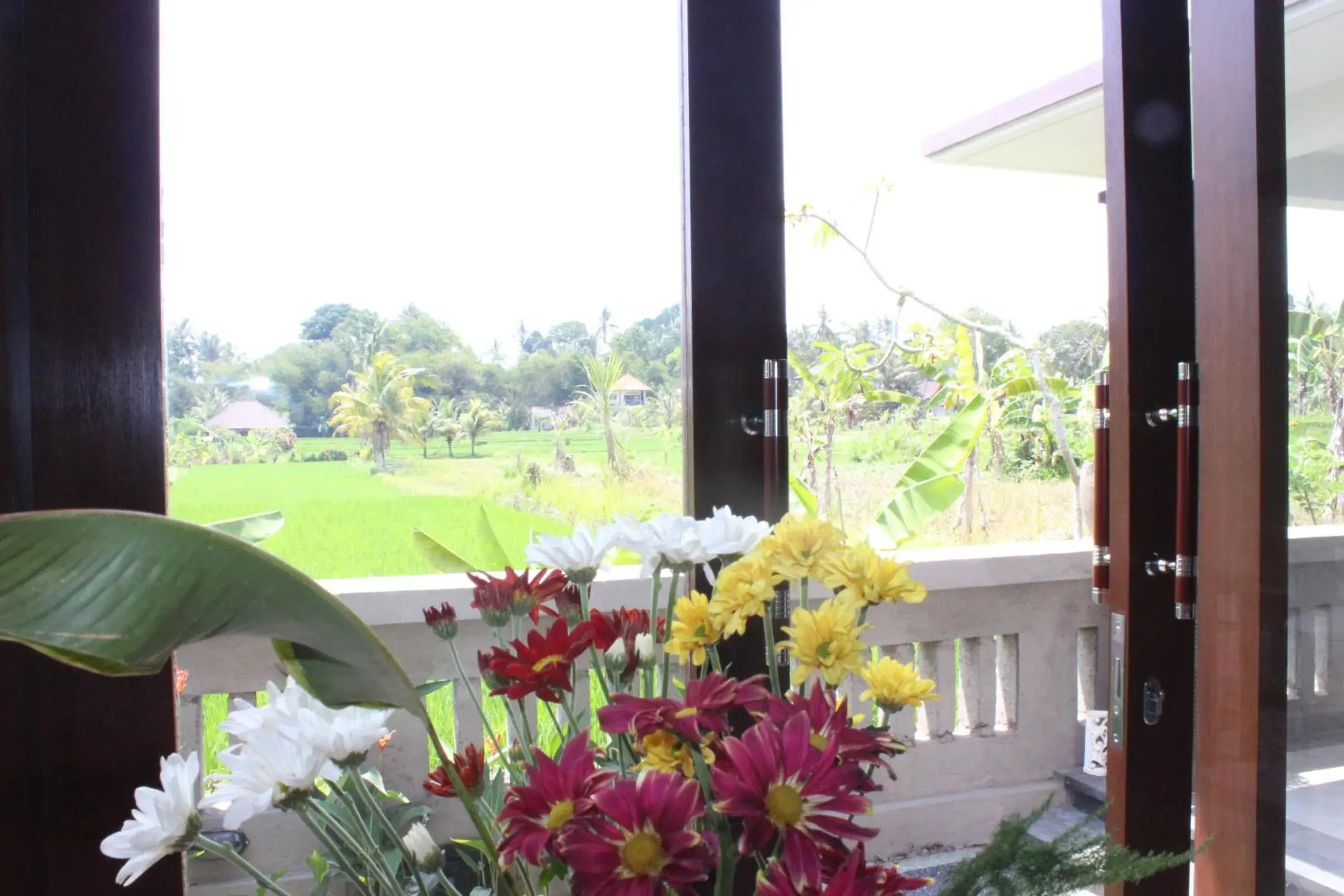 View (from property/room) in Ubud Paradise Villa