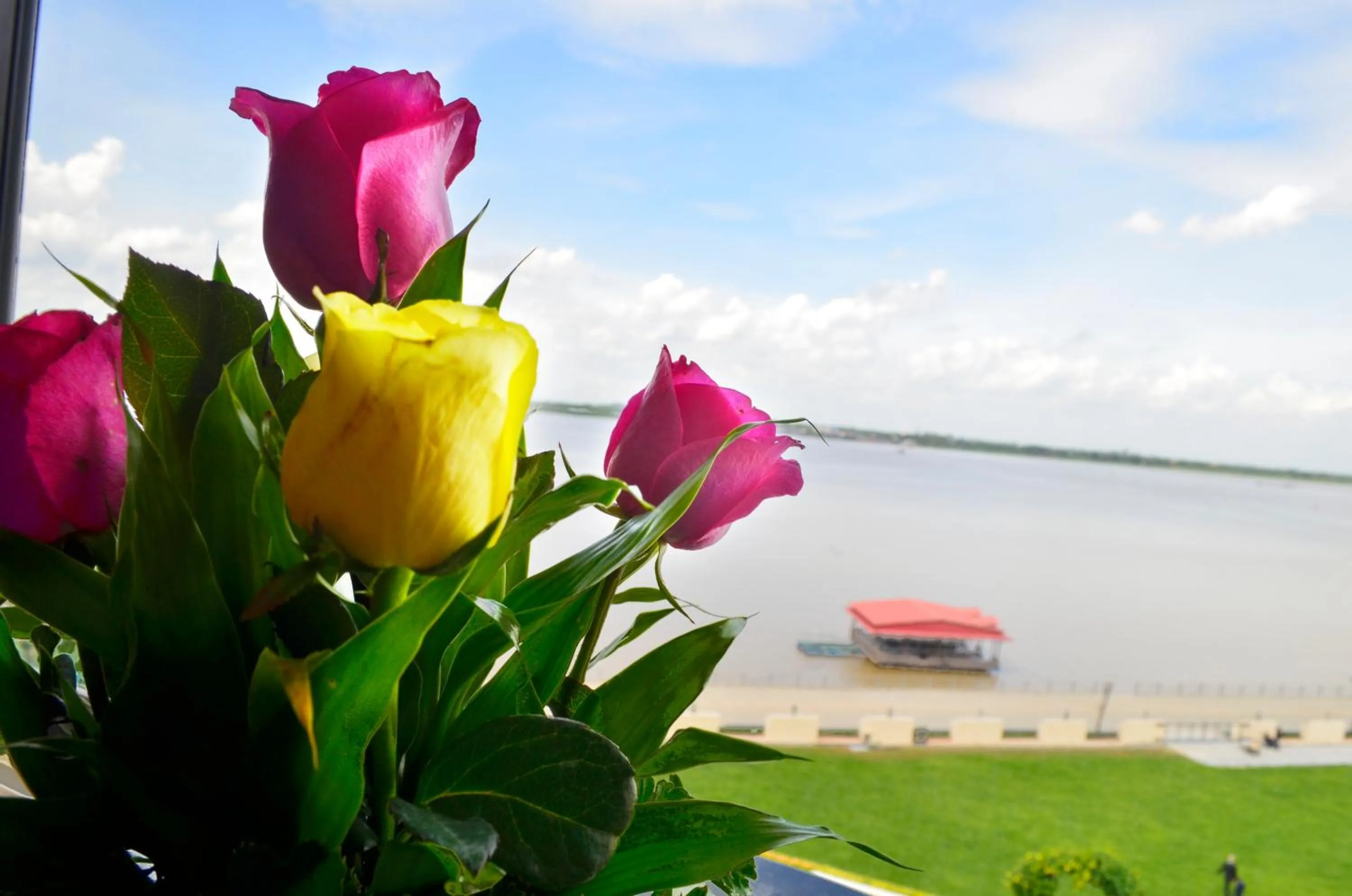 Pool view in Hotel Cambodiana
