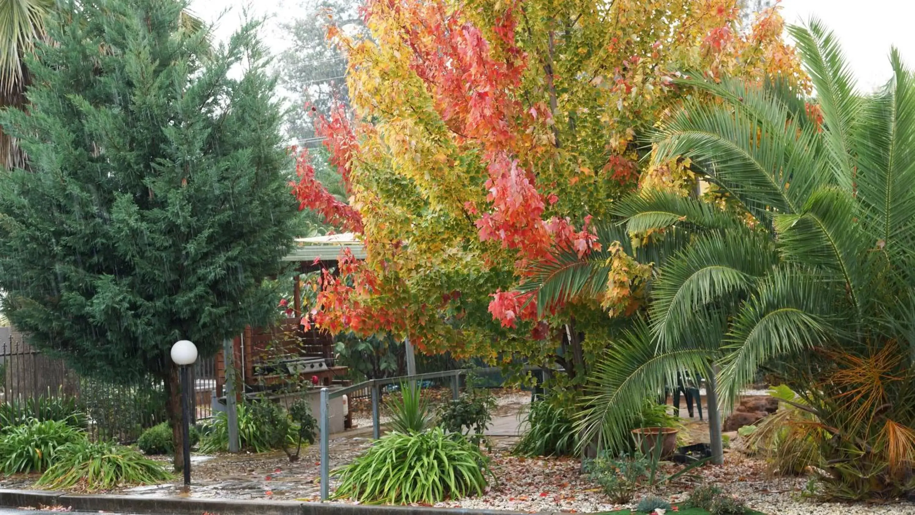 Garden in Golden Leaf Motel