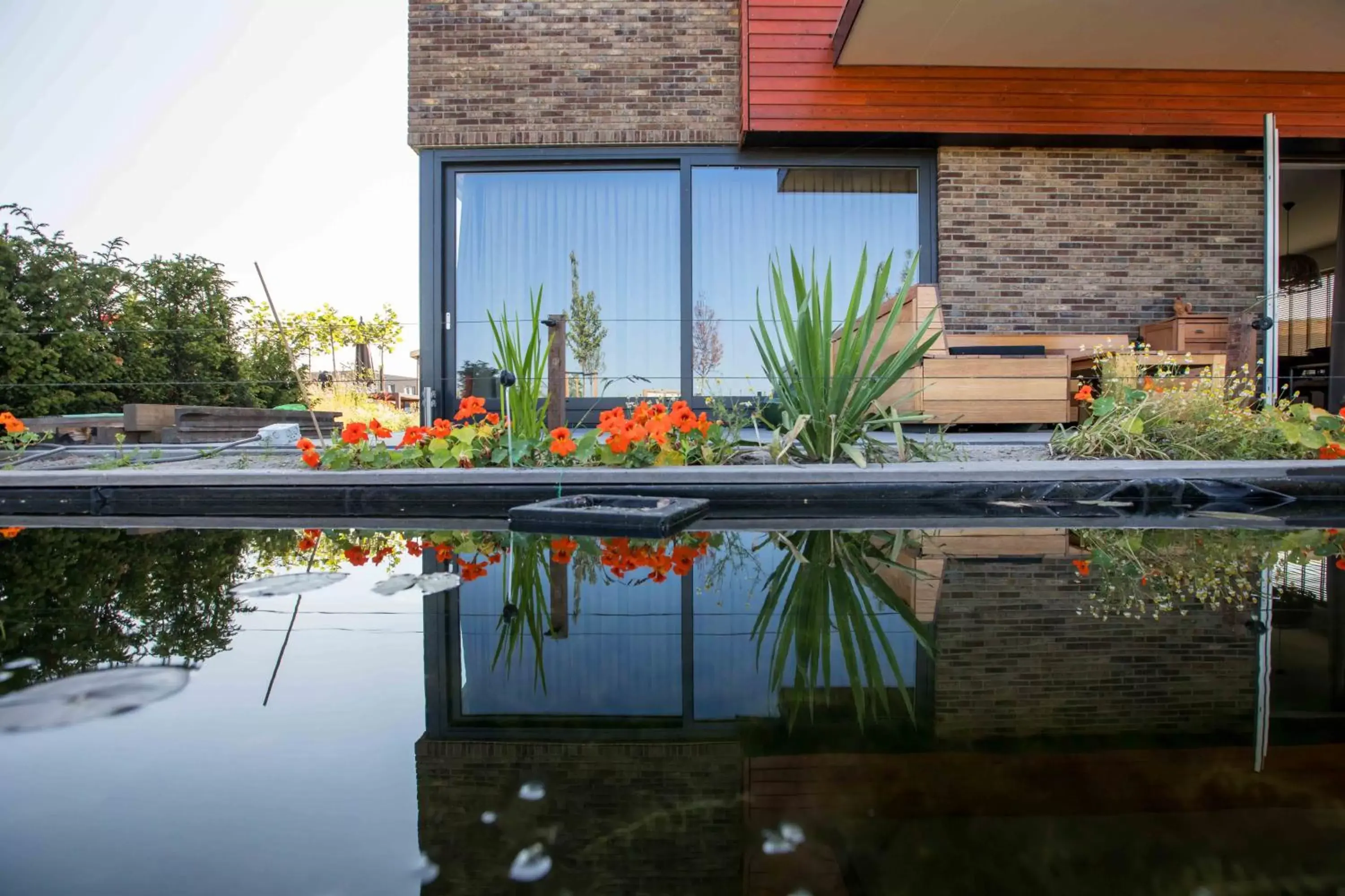 Swimming Pool in Amsterdam Area Residence Oosterwold