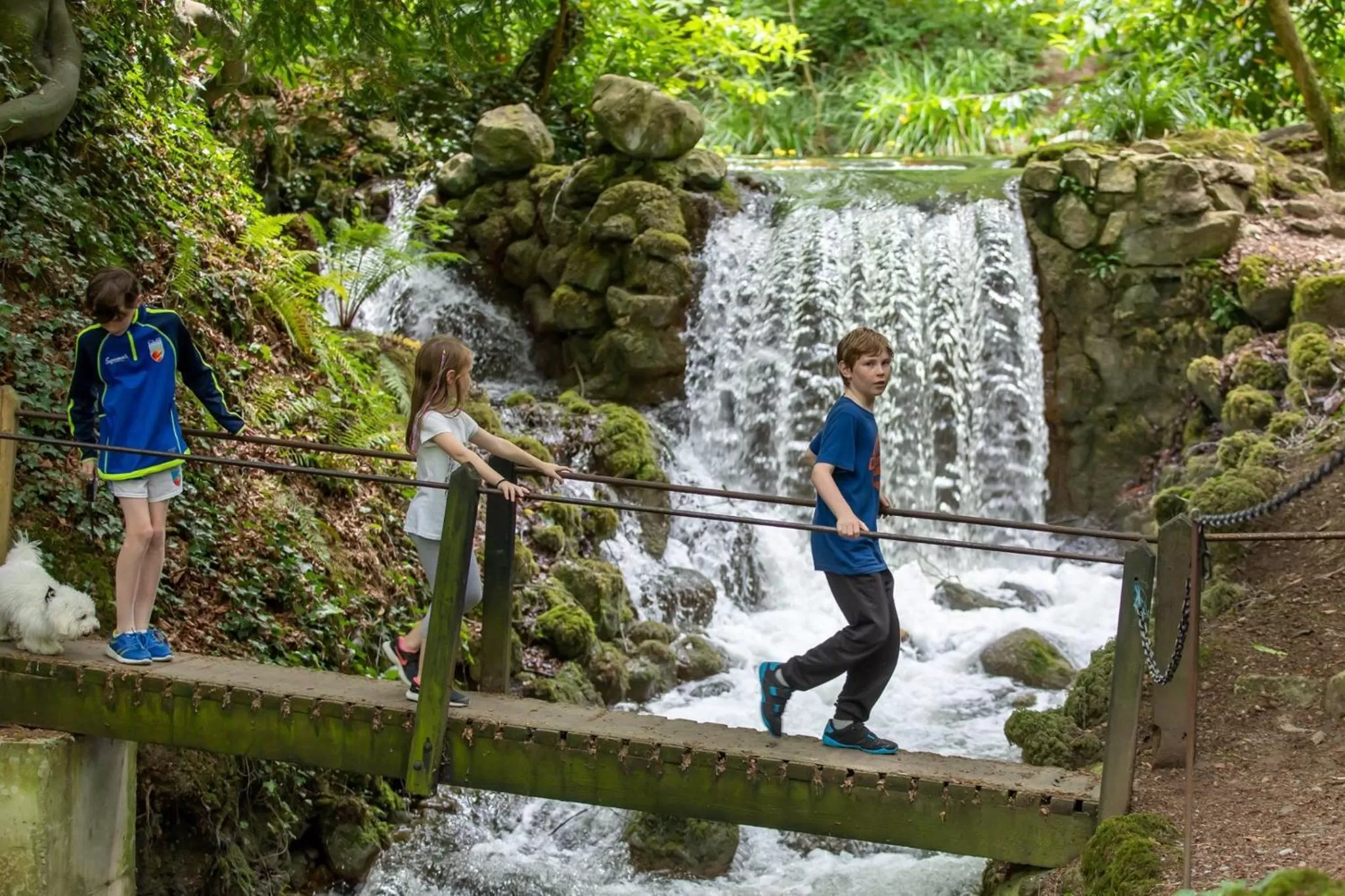 Activities in Tullamore Court Hotel