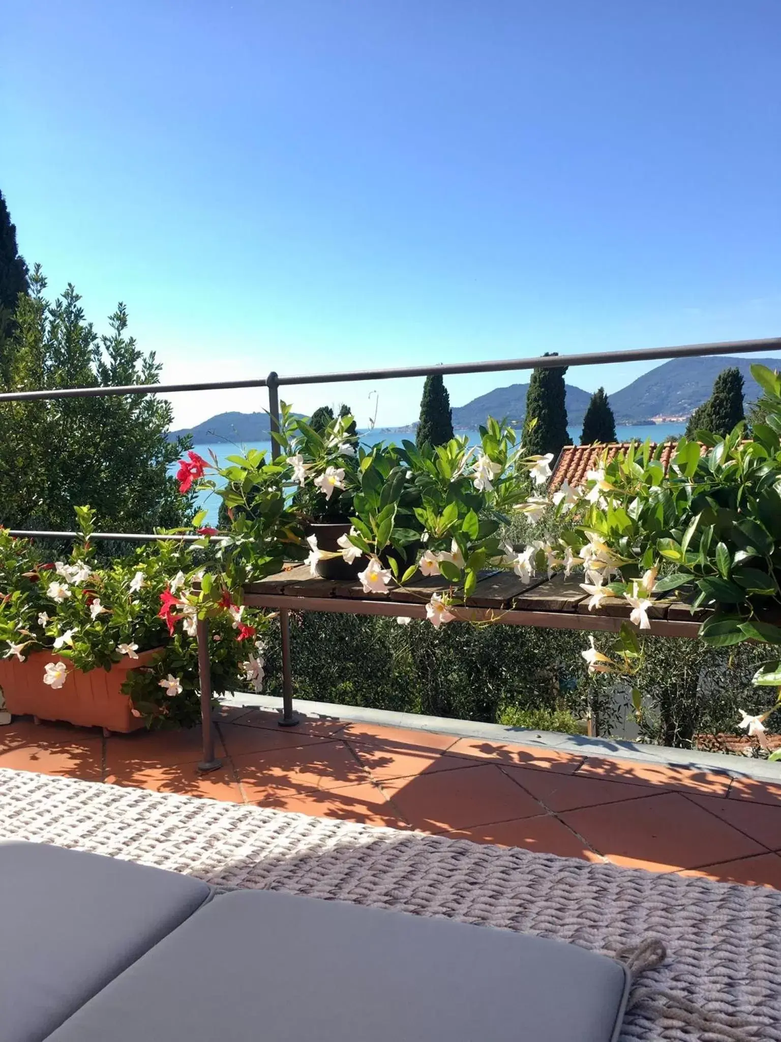 Balcony/Terrace in Velamica Resort