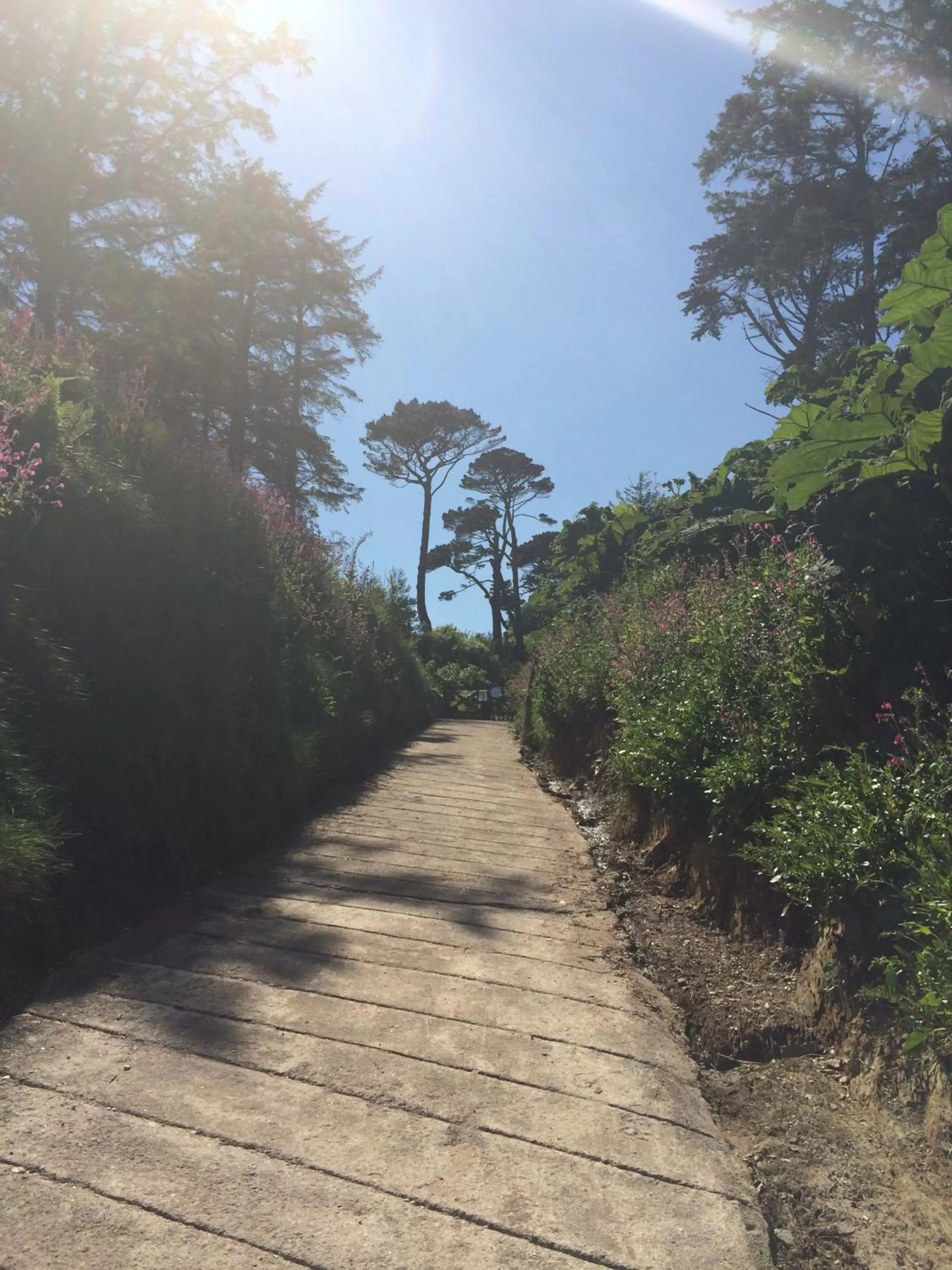 Area and facilities, Natural Landscape in Lyonesse Guest House