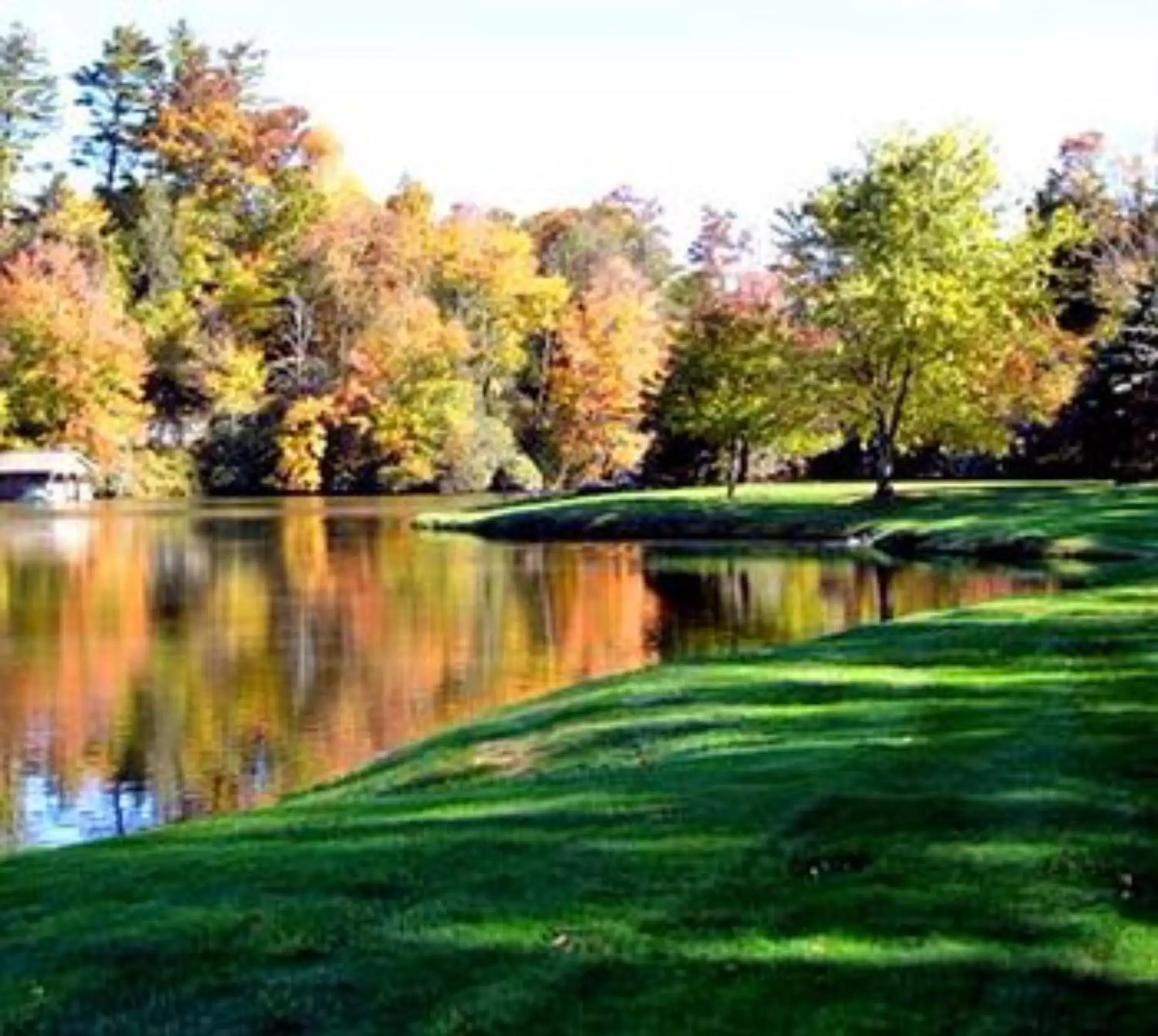 Natural landscape in Bob Timberlake Inn at Chetola Resort