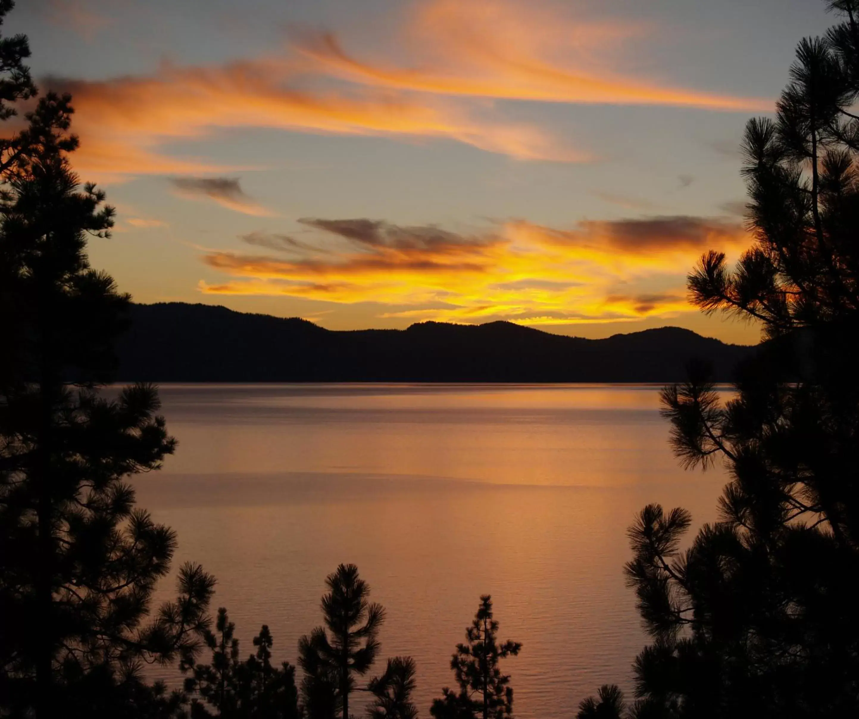 Natural landscape in Harrah's Lake Tahoe Hotel & Casino