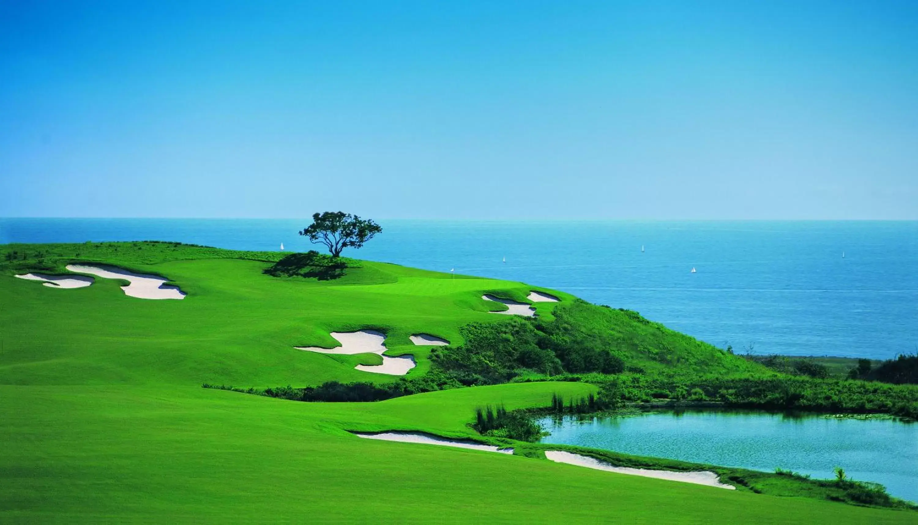 Golfcourse, Golf in Resort at Pelican Hill