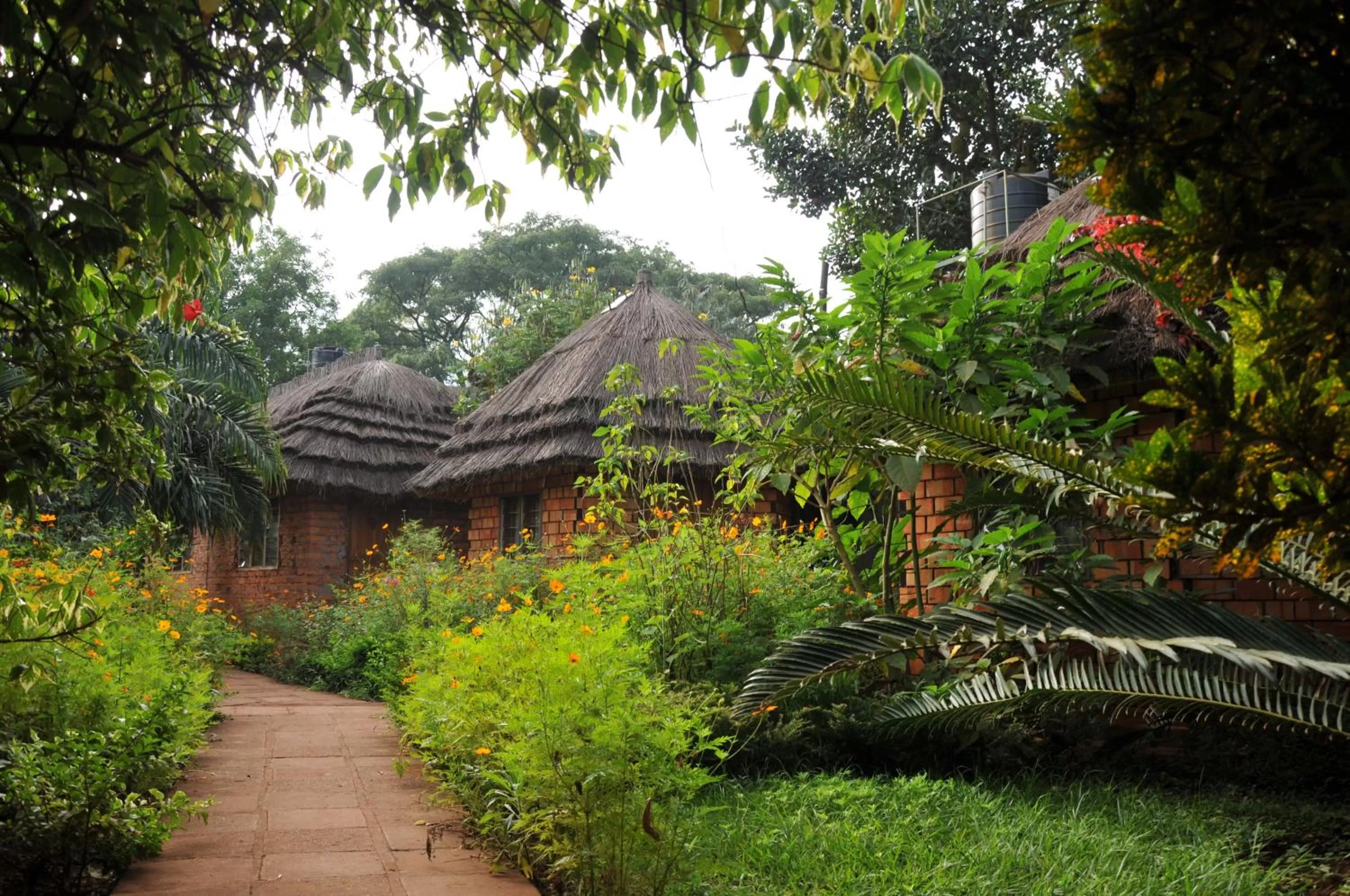 Garden in New Court View Hotel