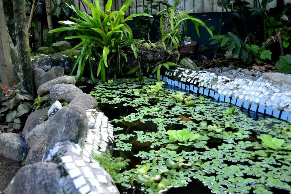 Day in Suítes o Flautista