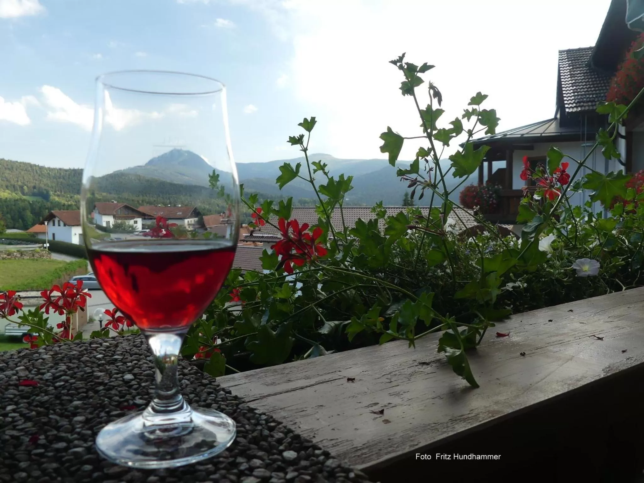 Mountain view in GarniHotel - Arberblick