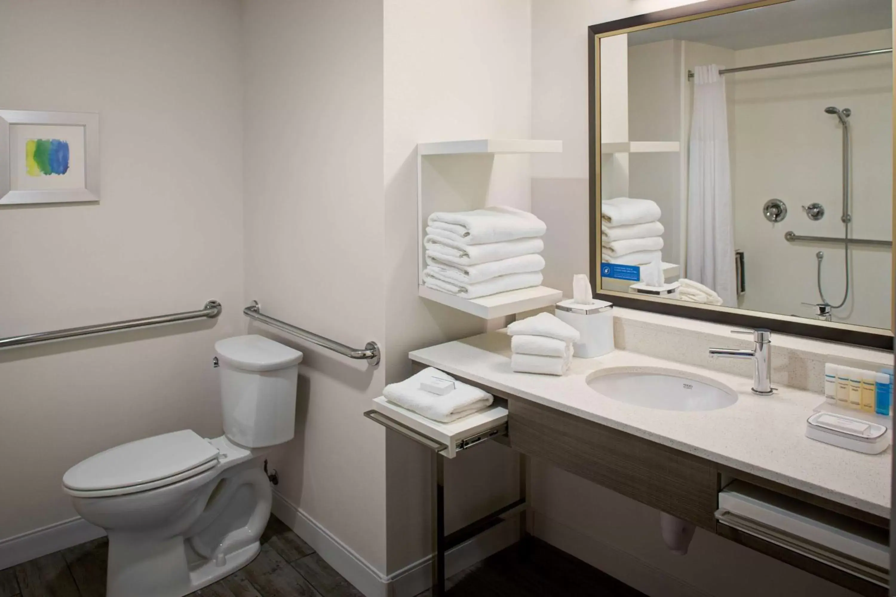 Bathroom in Hampton Inn & Suites Syracuse North Airport Area