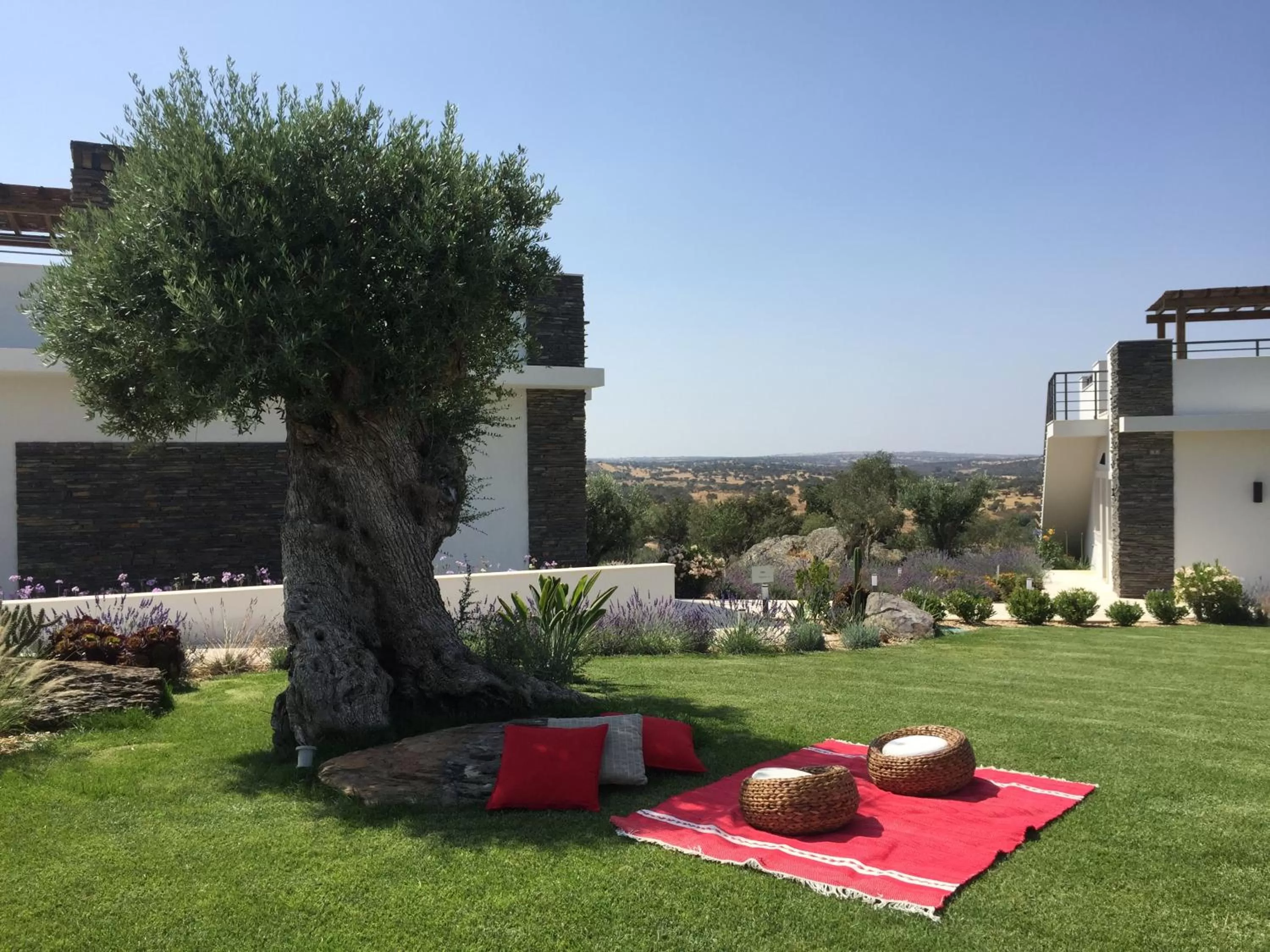 Garden in Vistas - Herdade do Zambujal