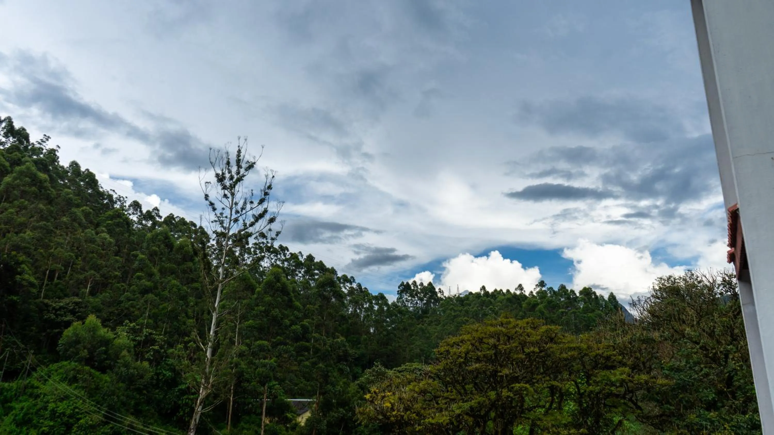 Mountain view in Westwood Riverside