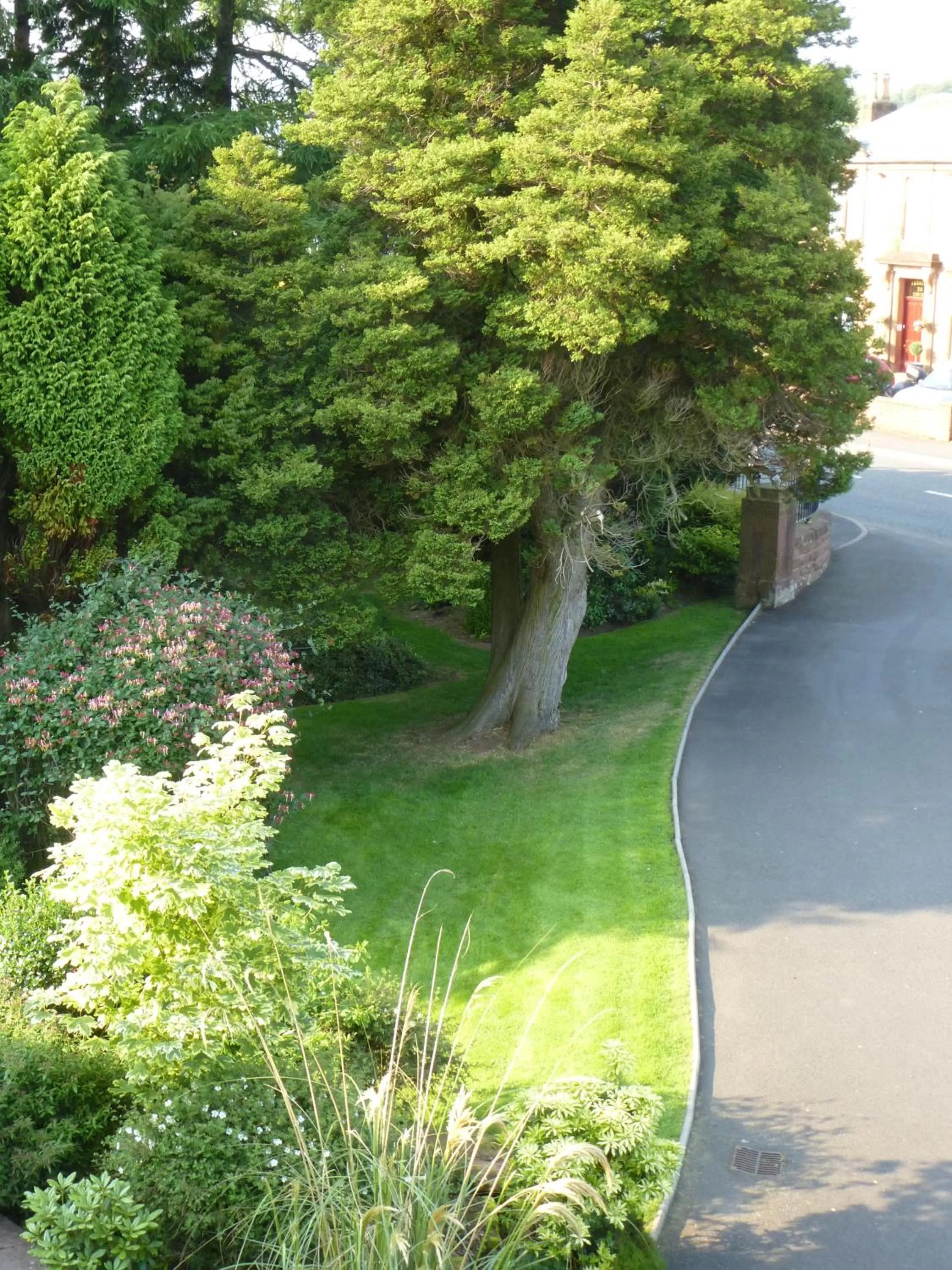View (from property/room) in Somerton House Hotel
