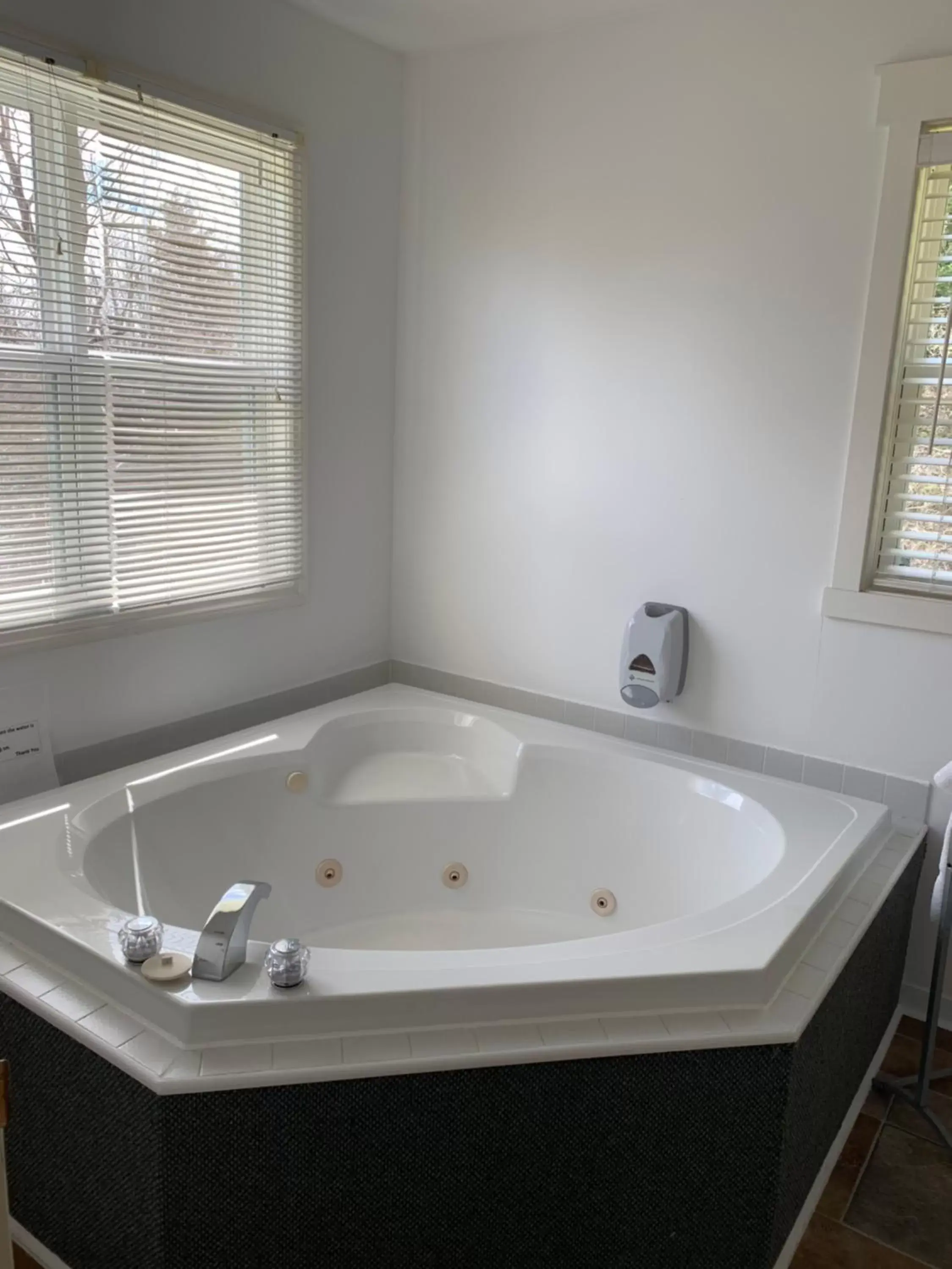 Bathroom in The Lionstone Inn Motel and Cottages