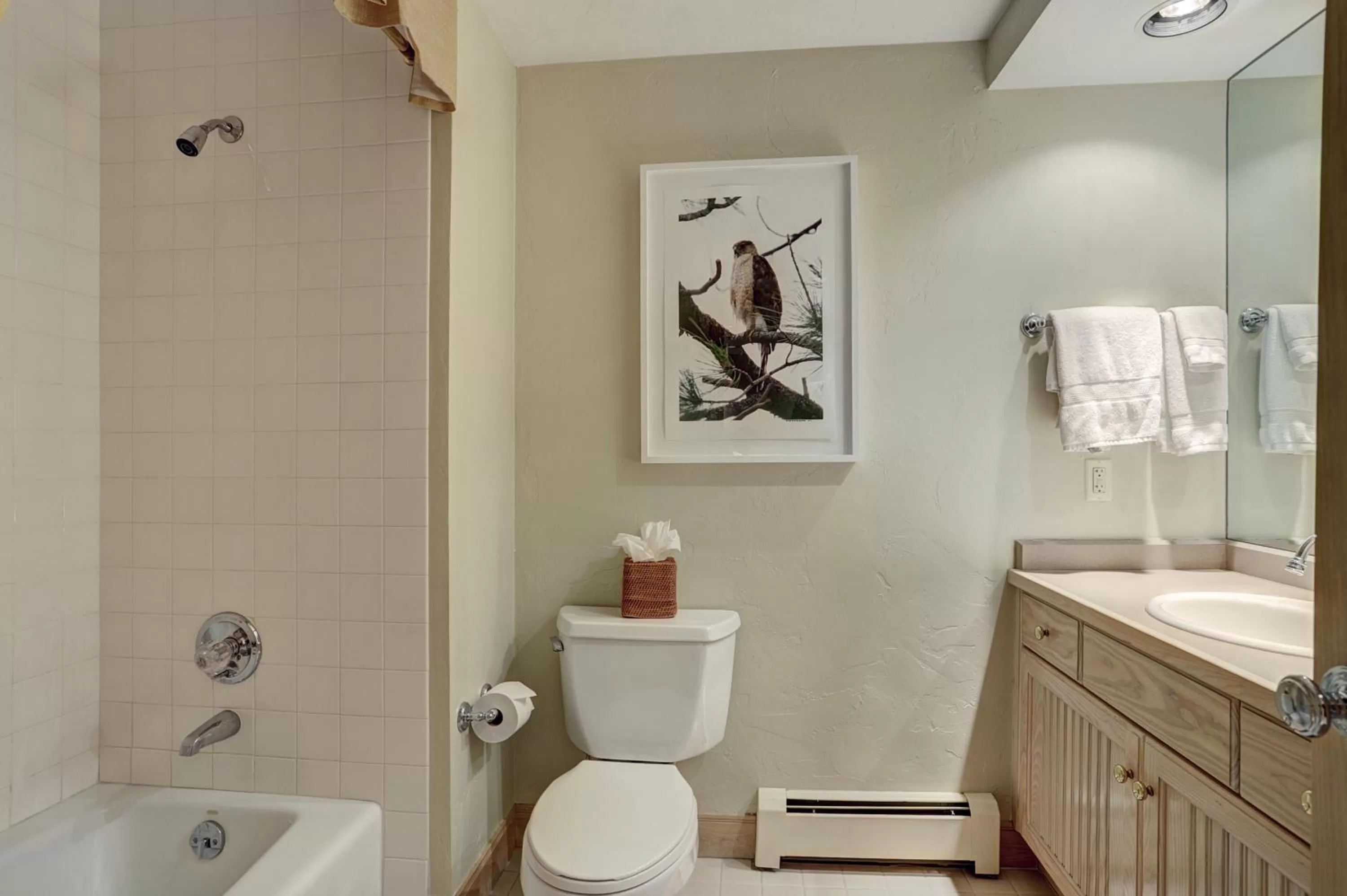 The Pines Lodge, a RockResort