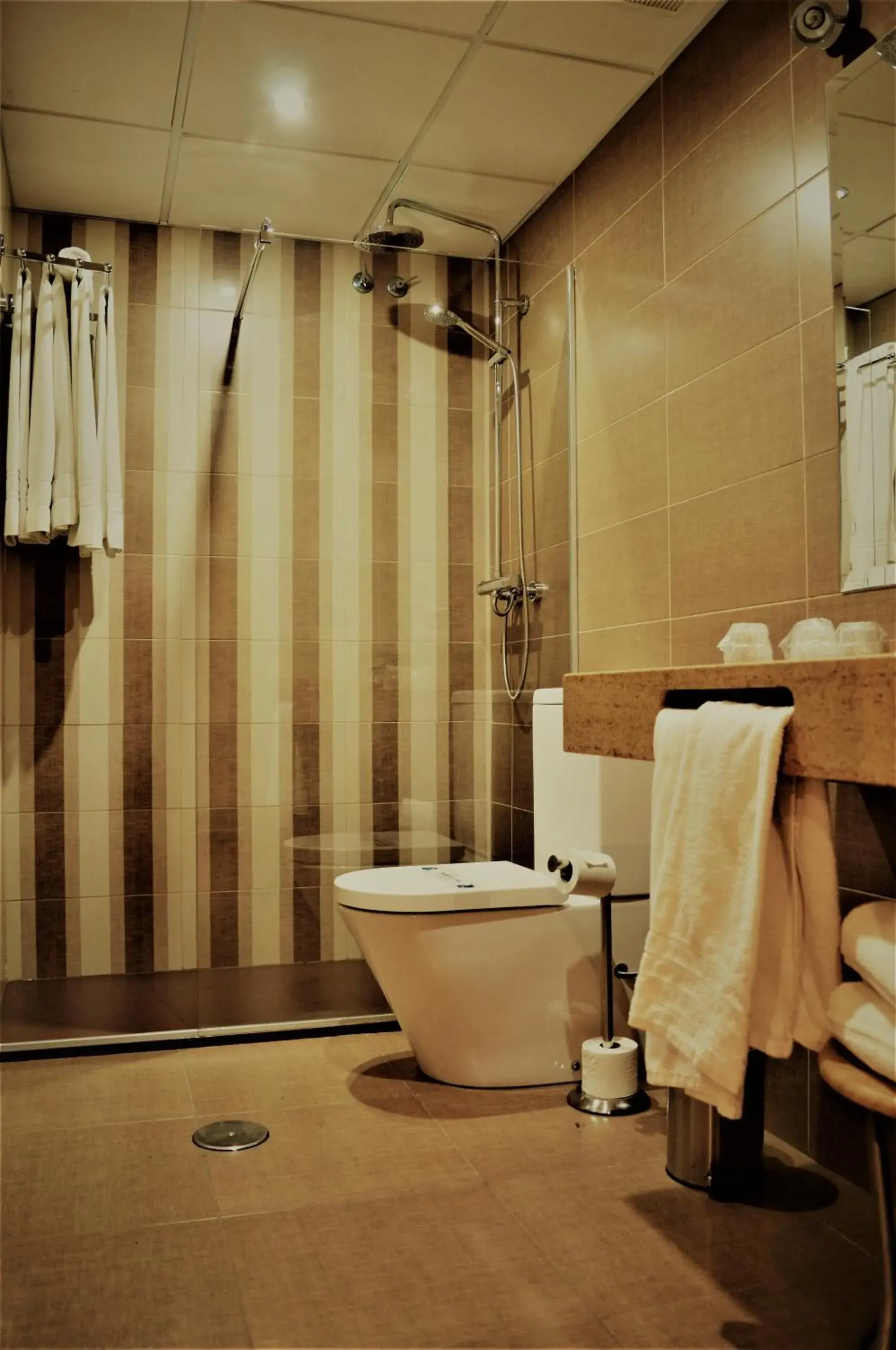 Shower, Bathroom in Hotel Ciudad de Plasencia