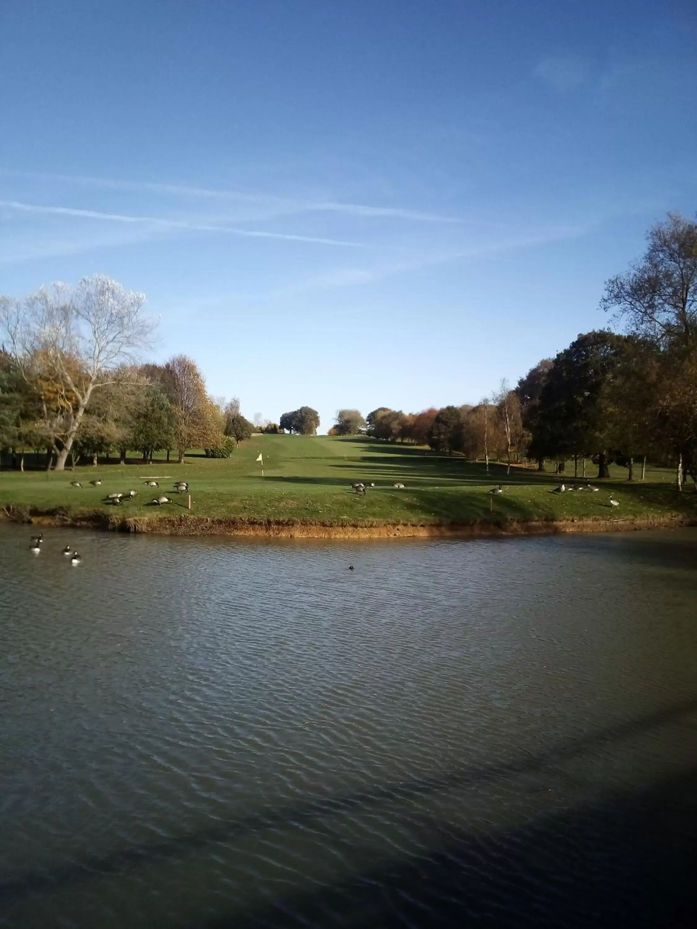 Natural landscape in Weald of Kent Golf Course and Hotel