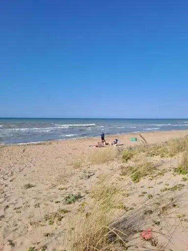 Beach in Sea Holidays