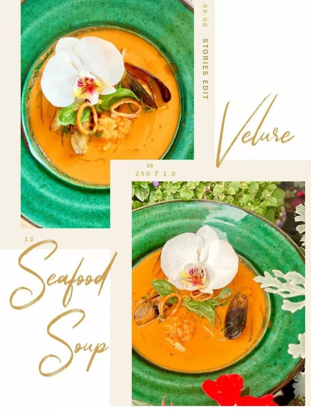 Hotel and Restaurant Velure