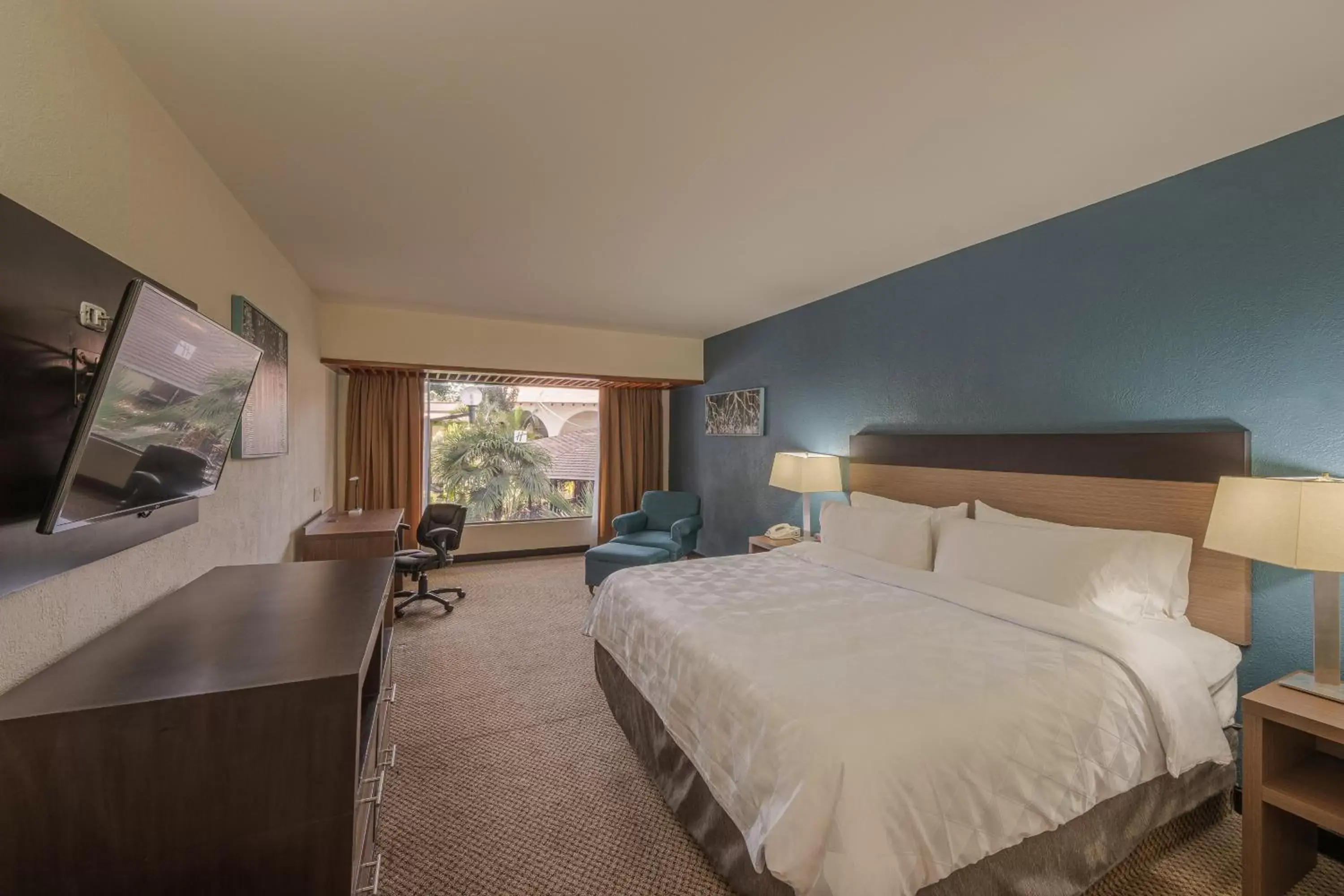 King Room with Garden View - Non-Smoking in Holiday Inn Guadalajara Expo Plaza del Sol by IHG King Room with Garden View - Non-Smoking in Holiday Inn Guadalajara Expo Plaza del Sol by IHG