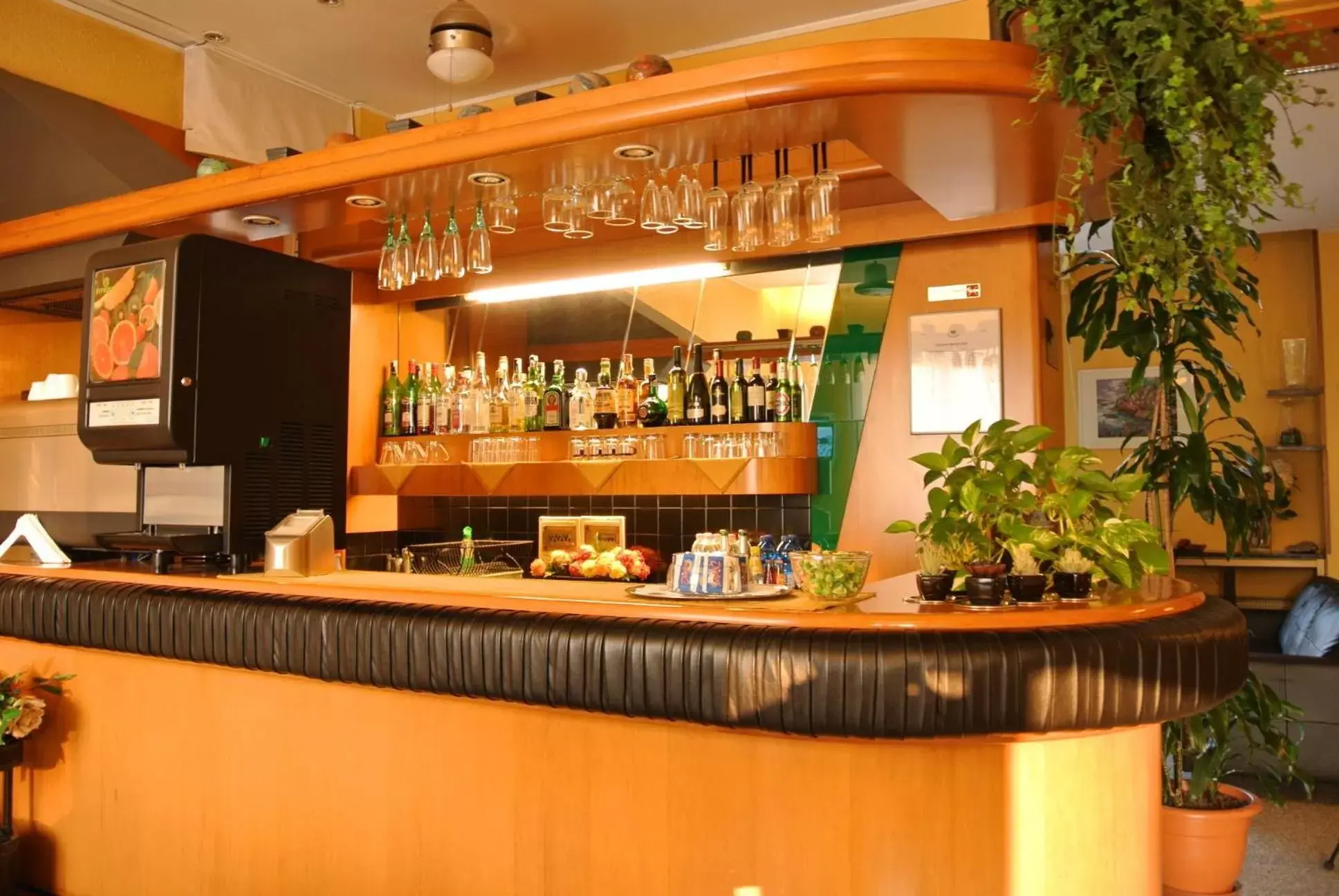 Lounge or bar, Lounge/Bar in Giardino Hotel