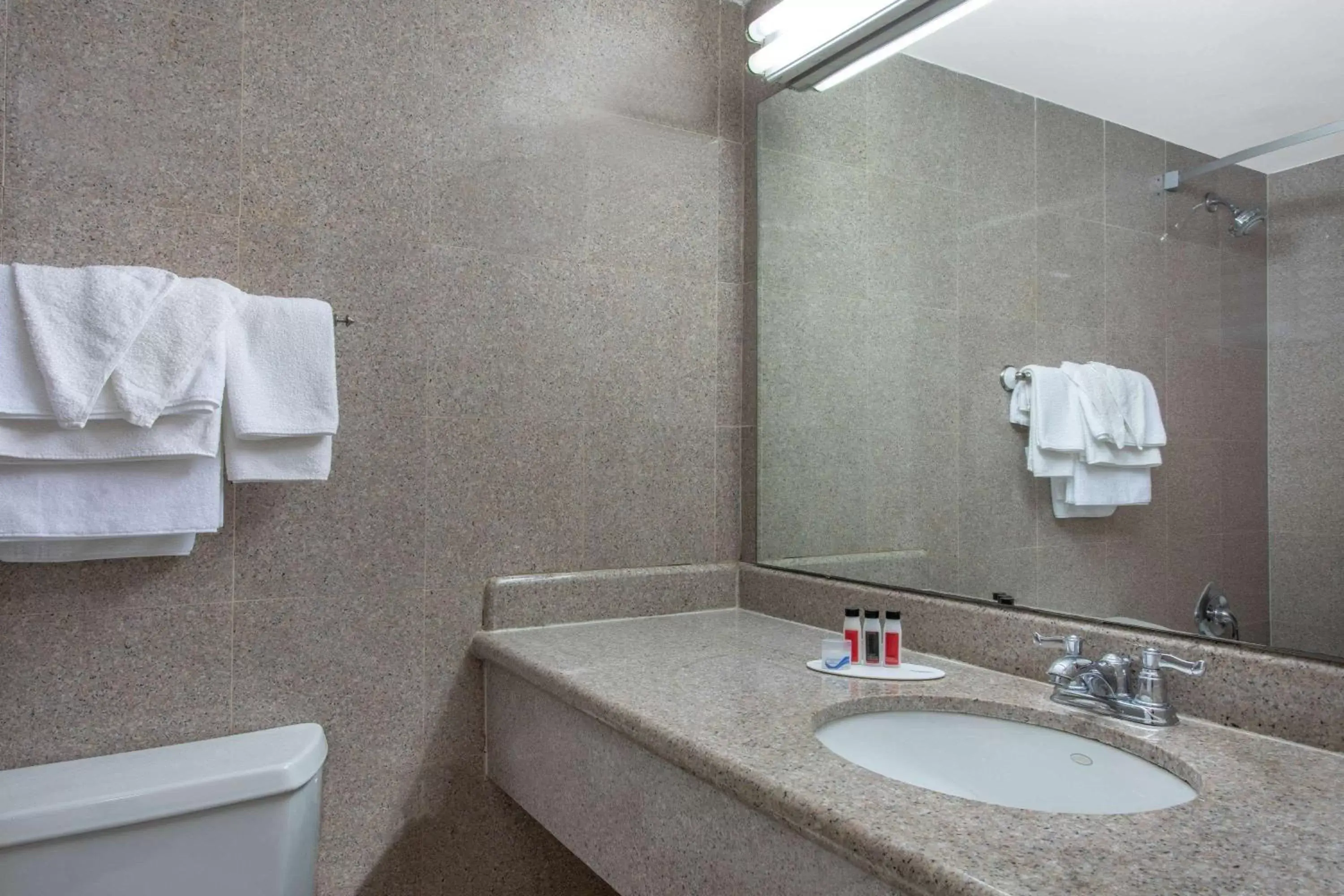 Bathroom in Days Inn by Wyndham Elmsford