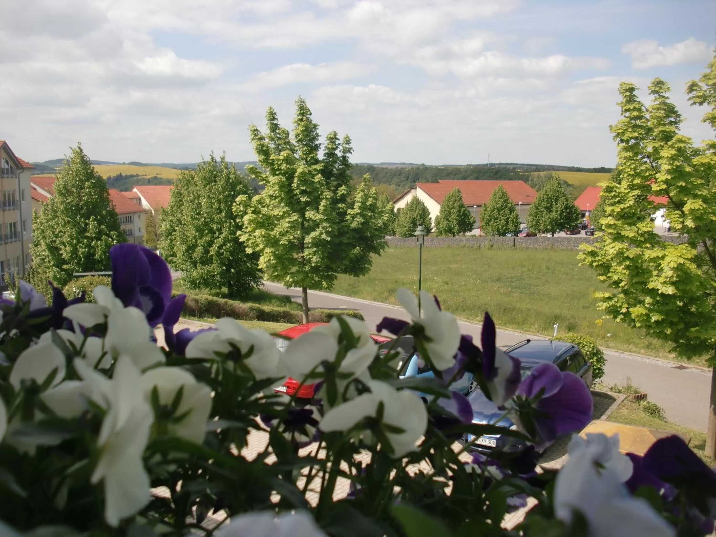 Balcony/Terrace in Hotel Am Heidepark