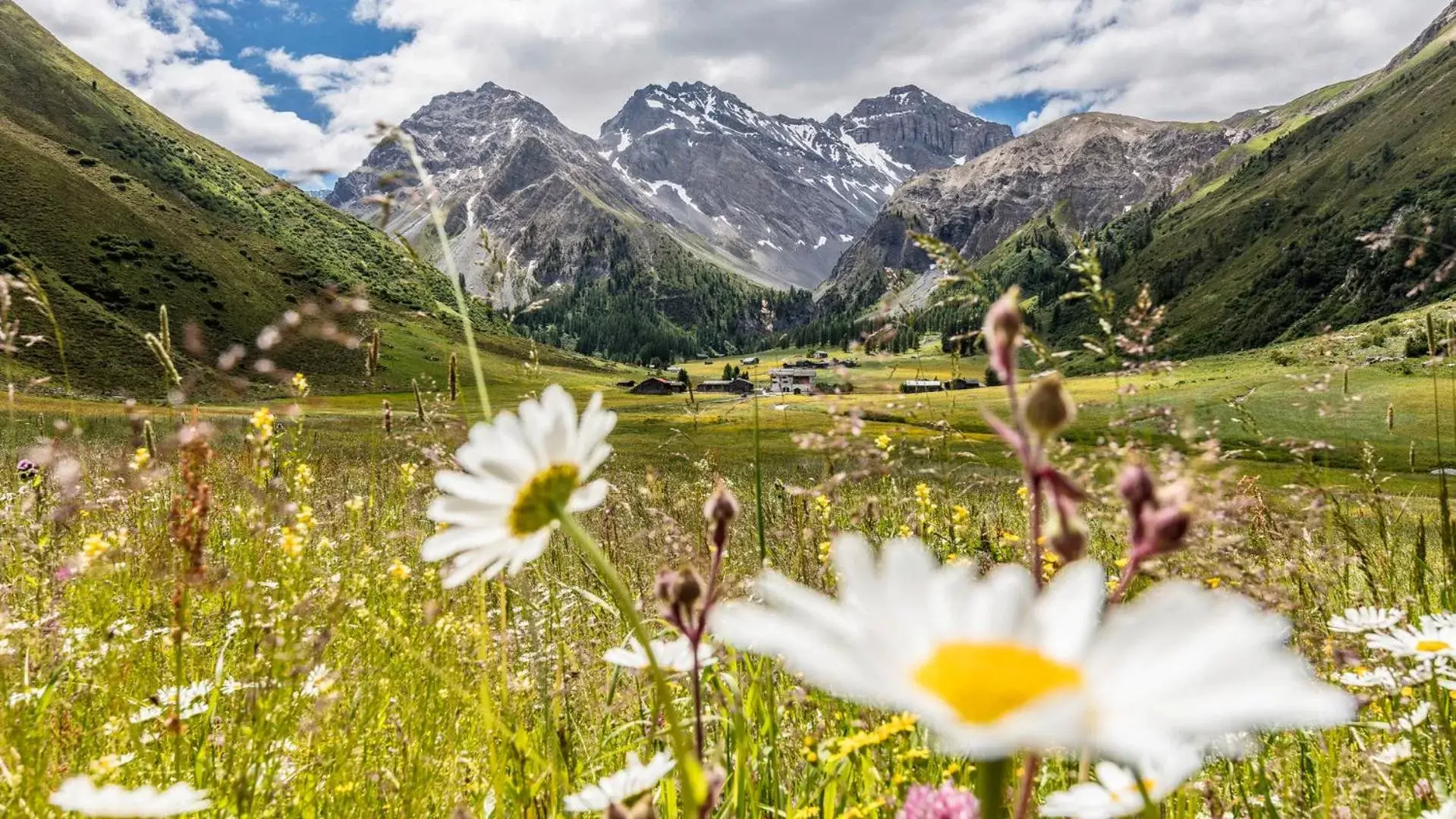 Natural landscape in Grischa - Das Hotel Davos