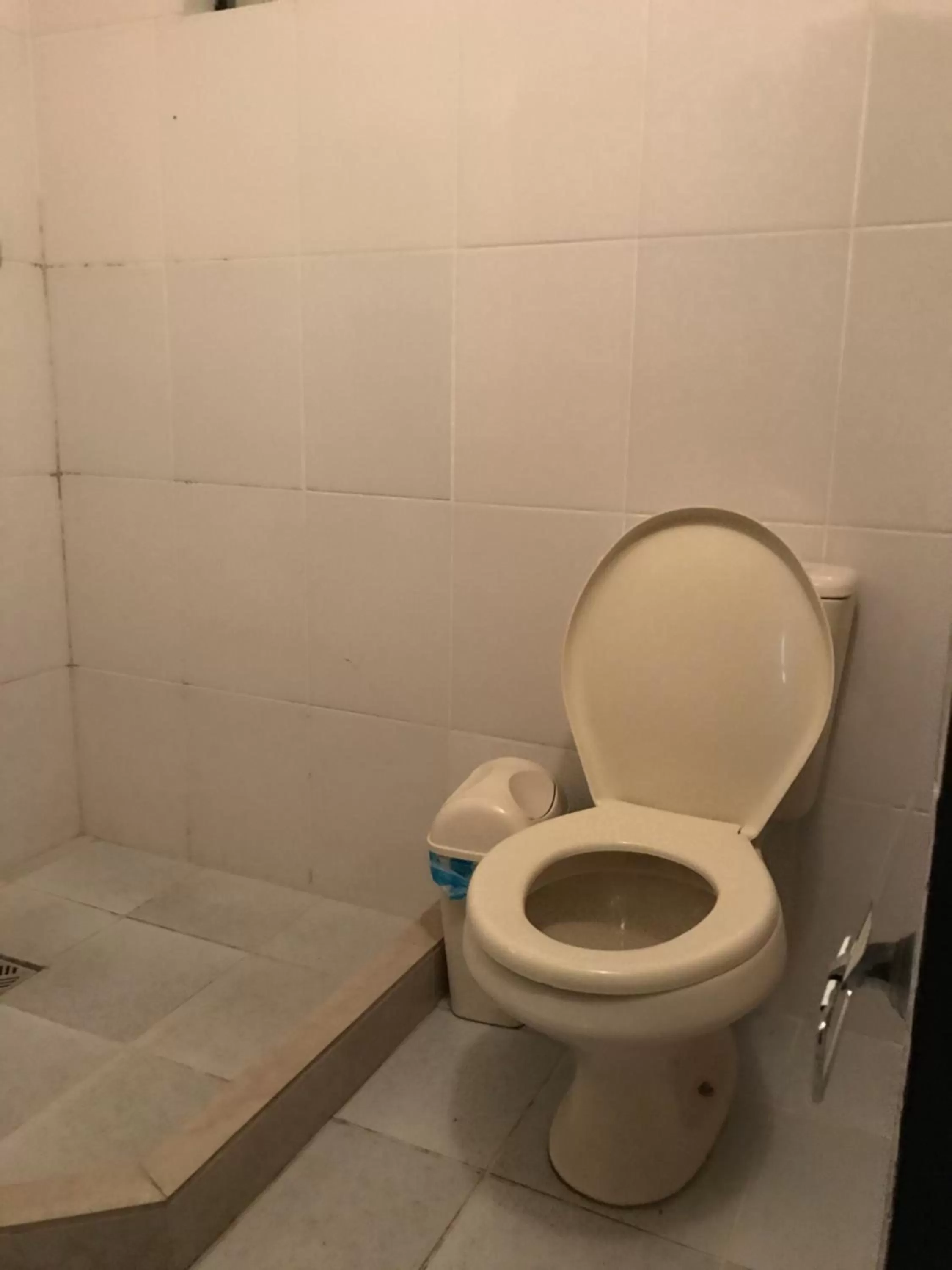 Toilet in Hotel Viru Viru II