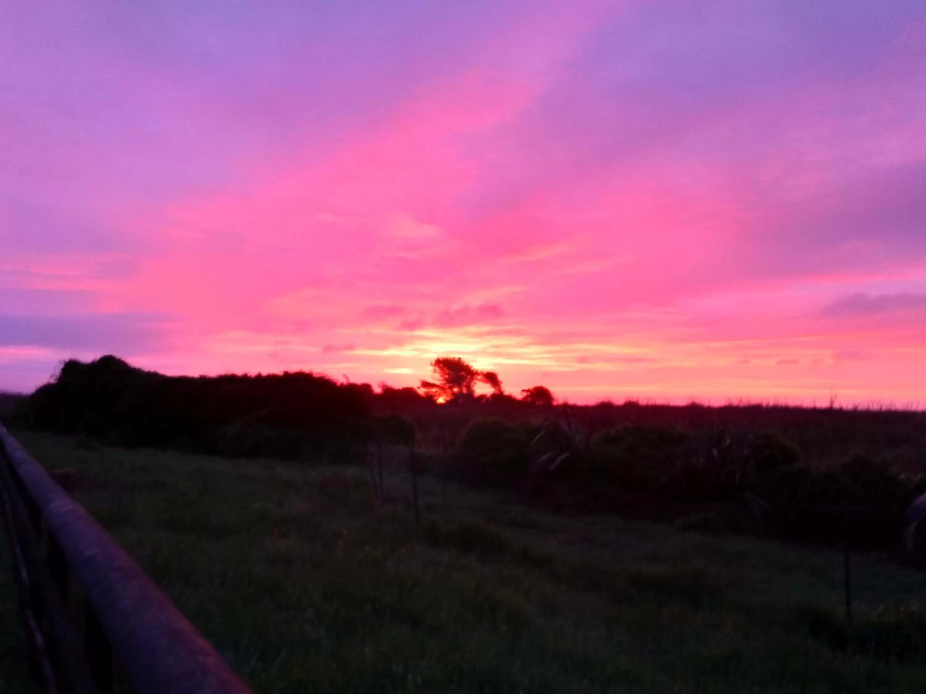 Natural landscape in Awatuna Sunset Lodge