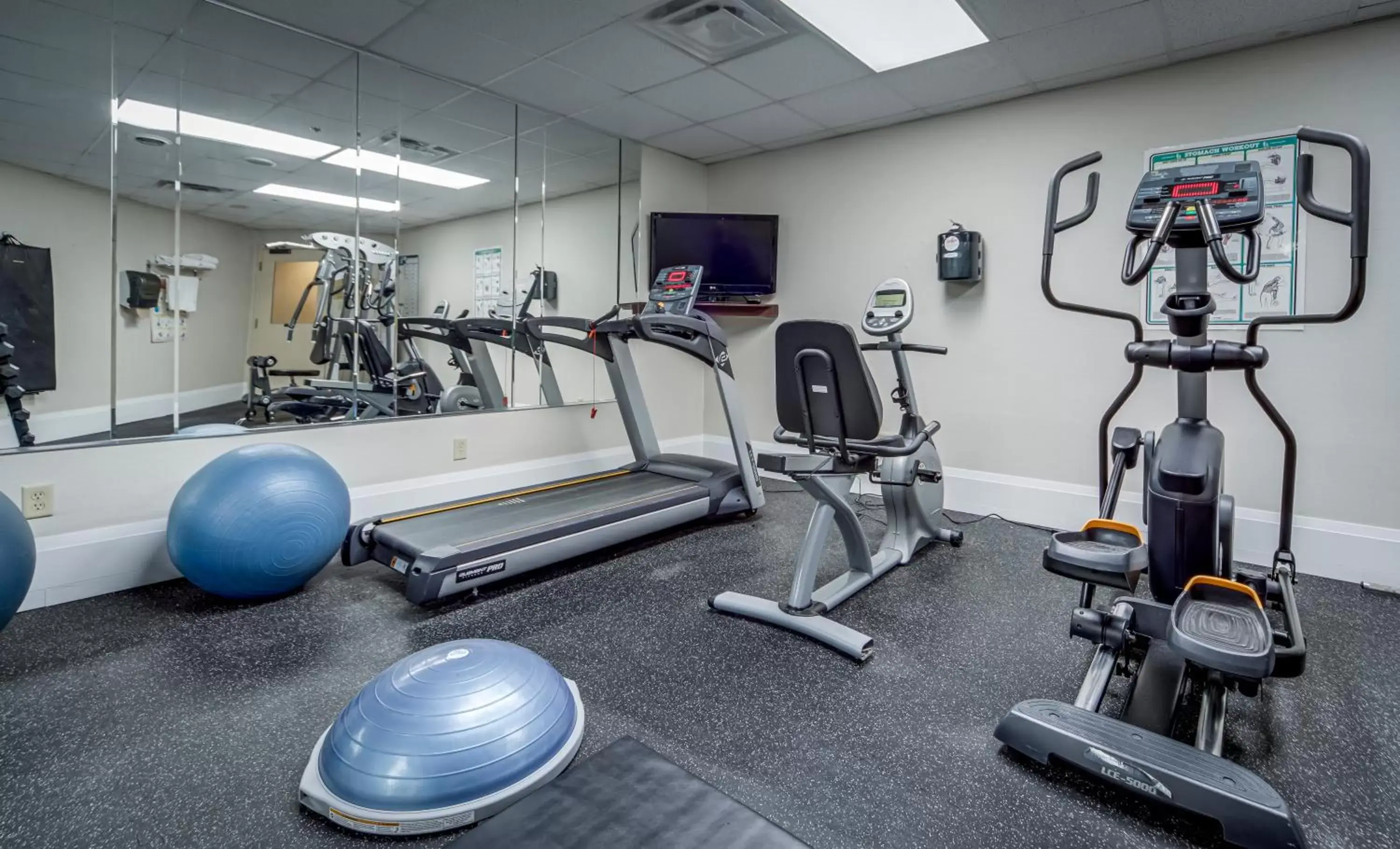 Fitness centre/facilities, Fitness Center/Facilities in Monte Carlo Inn Vaughan Suites