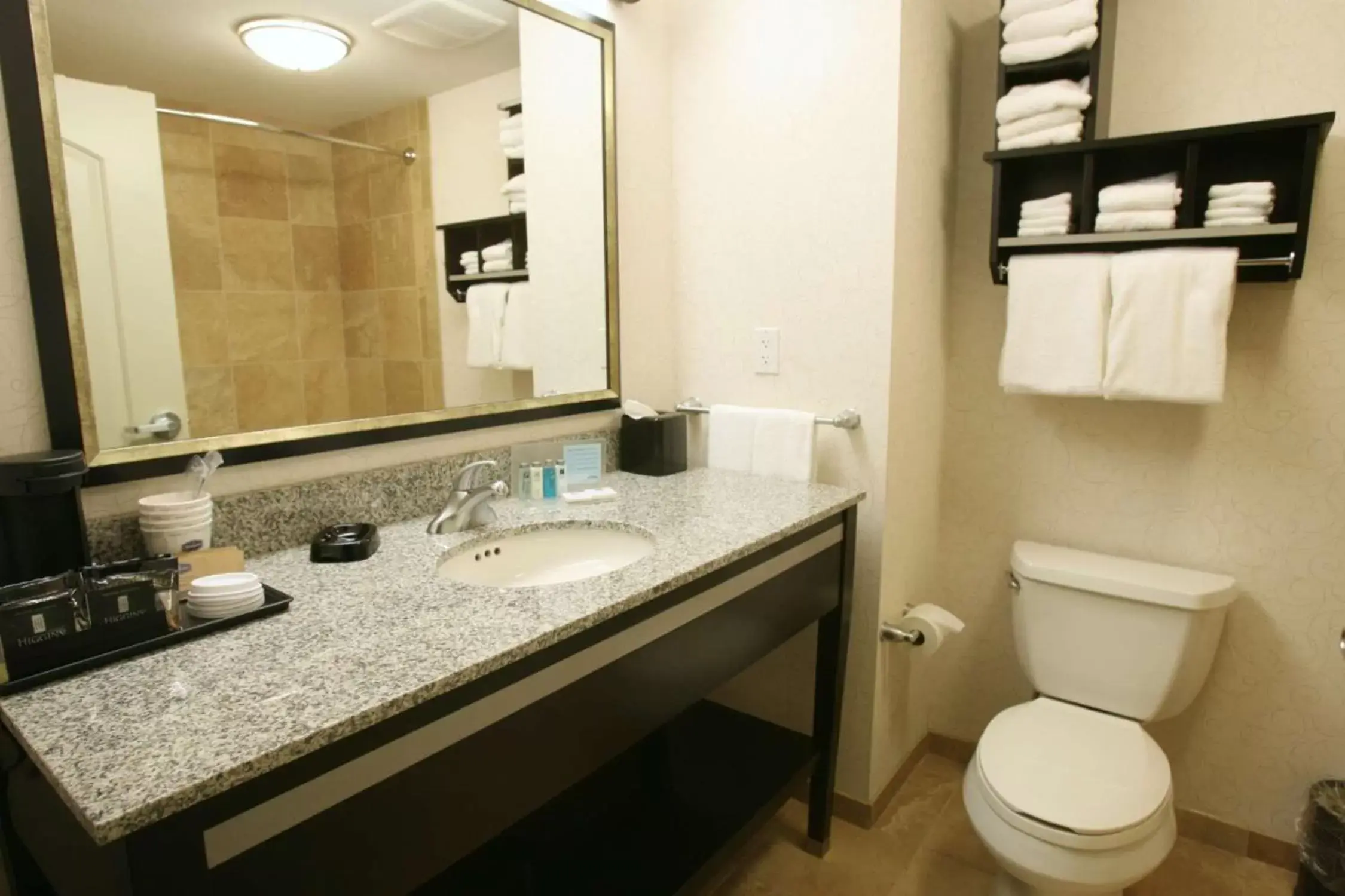 Bathroom in Hampton Inn by Hilton Fort Saskatchewan