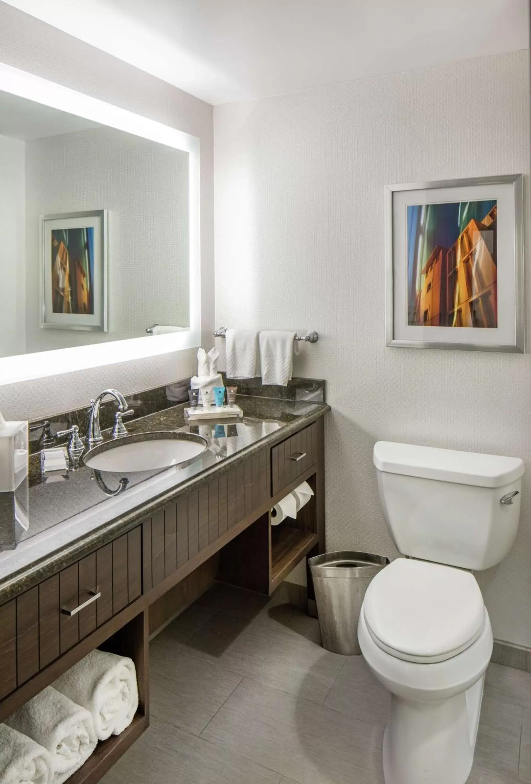 Bathroom in Hilton Minneapolis
