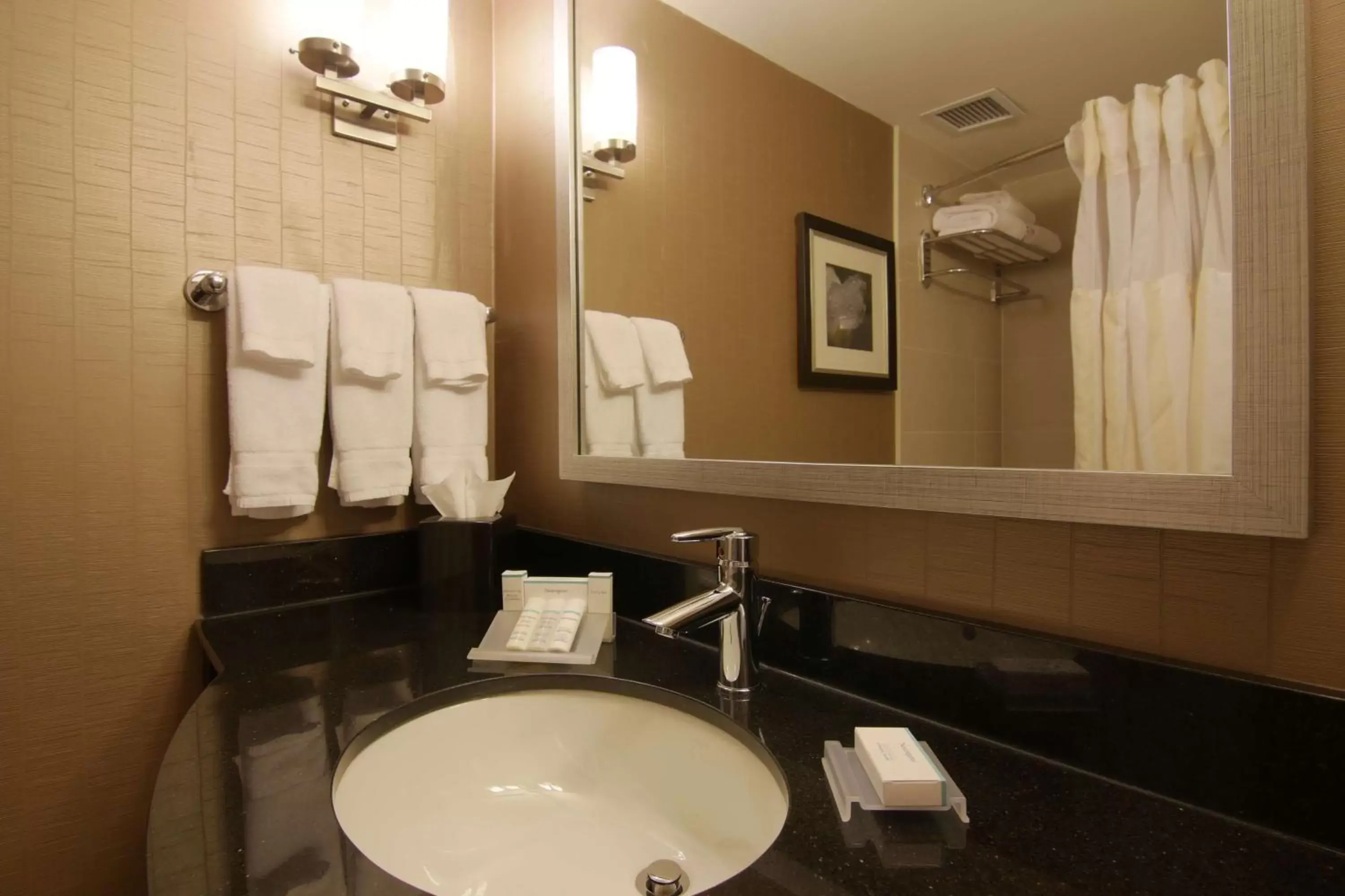 Bathroom in Hilton Garden Inn Toronto/Brampton