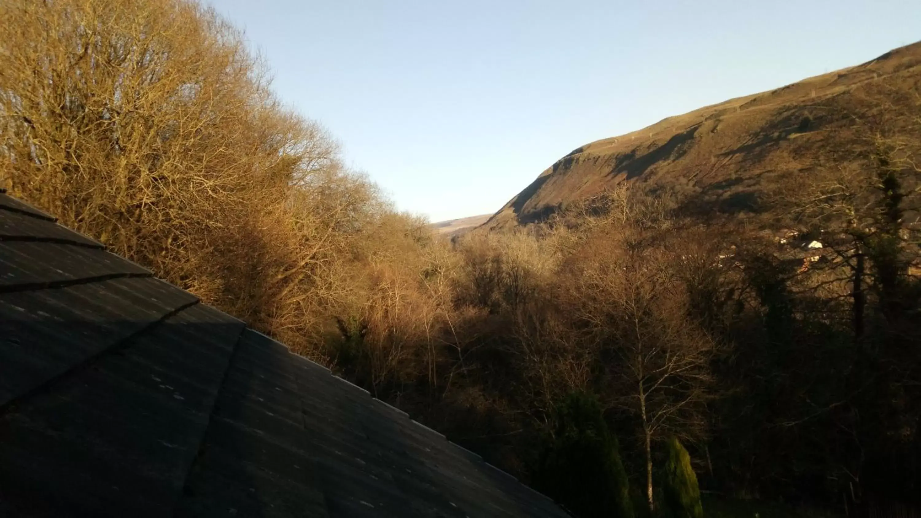 Bird's eye view in Cilbrwyn