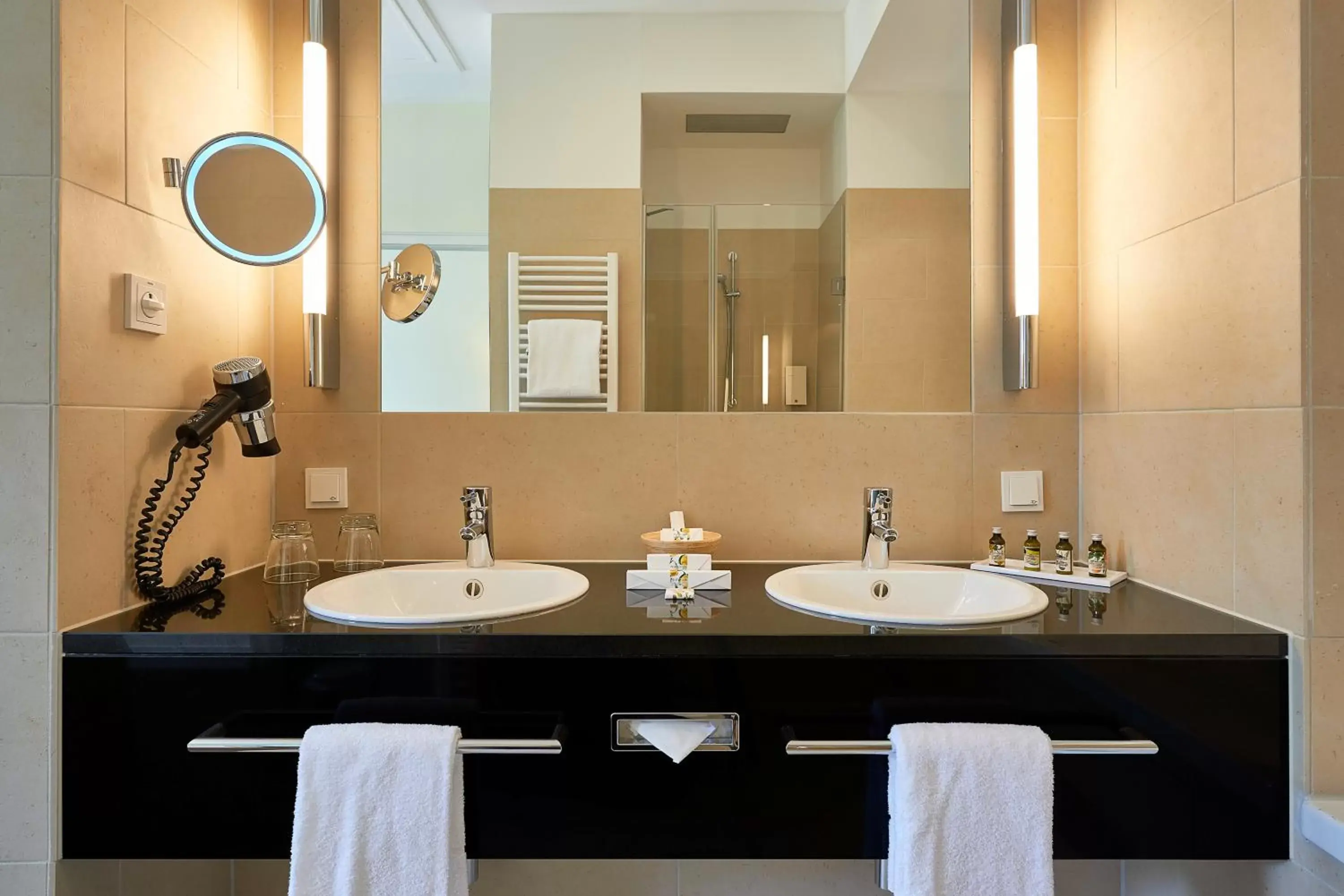 Decorative detail, Bathroom in Hotel Elbresidenz an der Therme