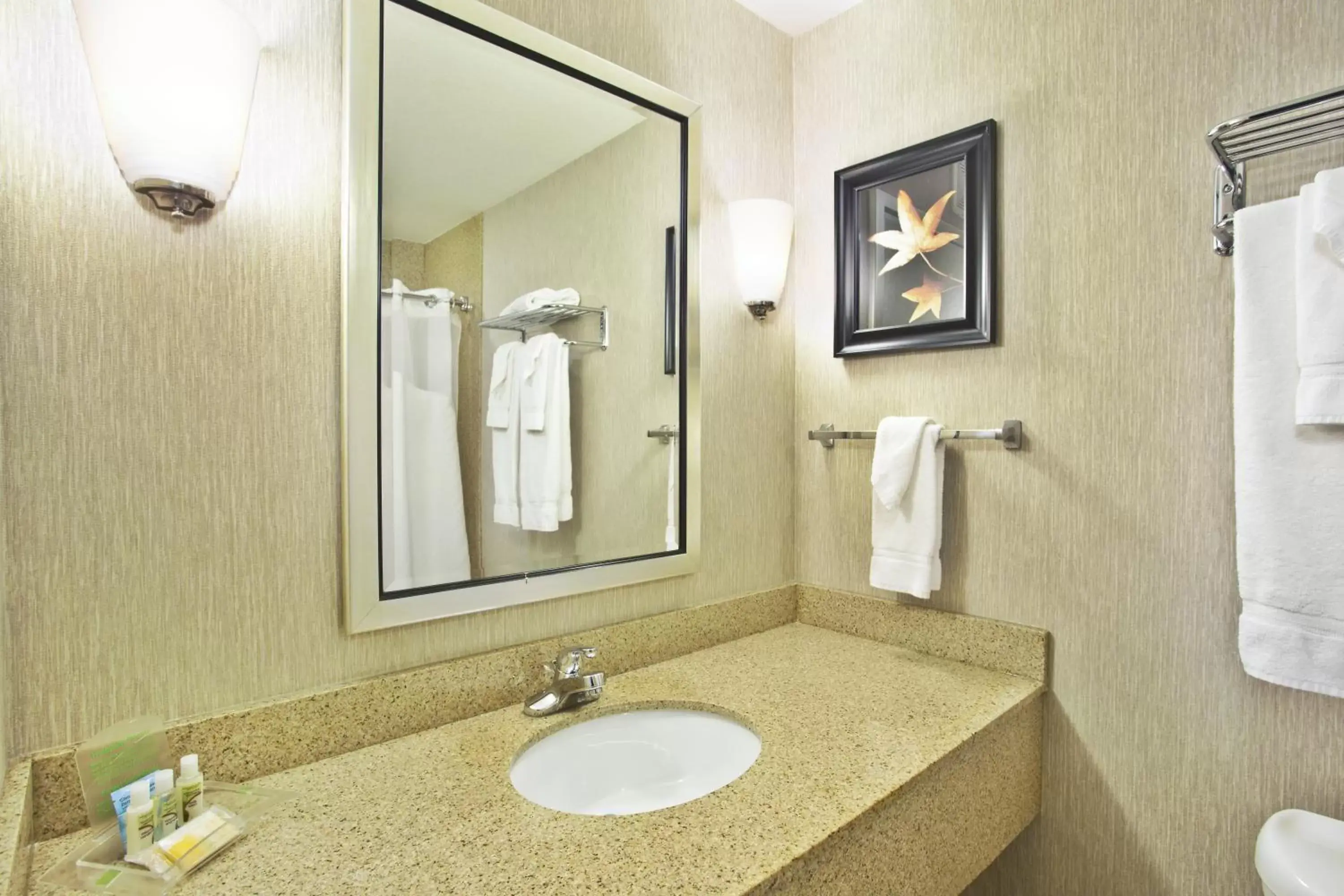 Bathroom in Holiday Inn & Suites Green Bay Stadium, an IHG Hotel