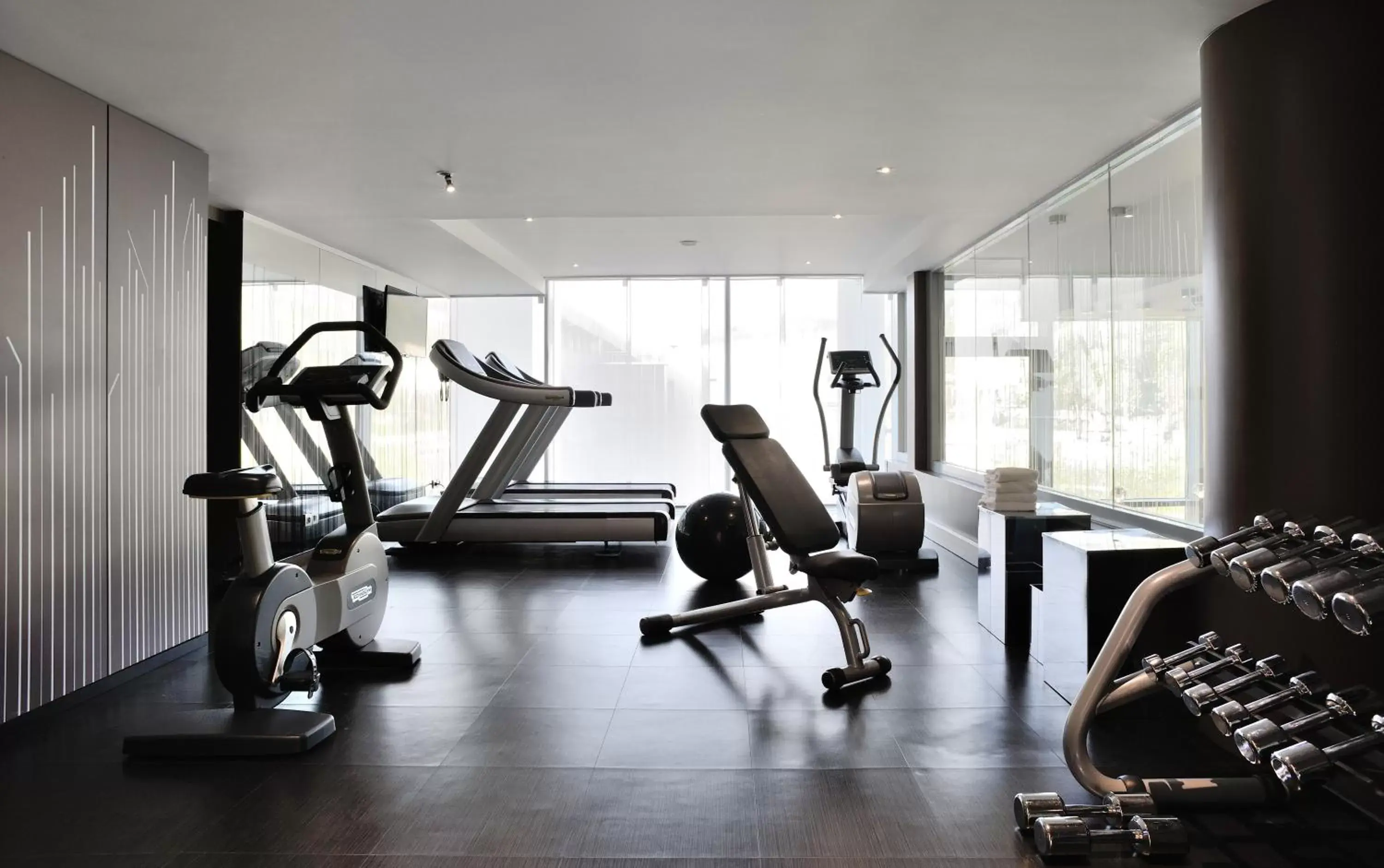 Fitness centre/facilities, Fitness Center/Facilities in Novotel Lyon Confluence