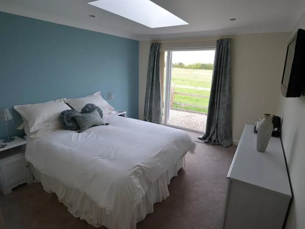 Twin Room with Private Bathroom in The White Horse View B&B