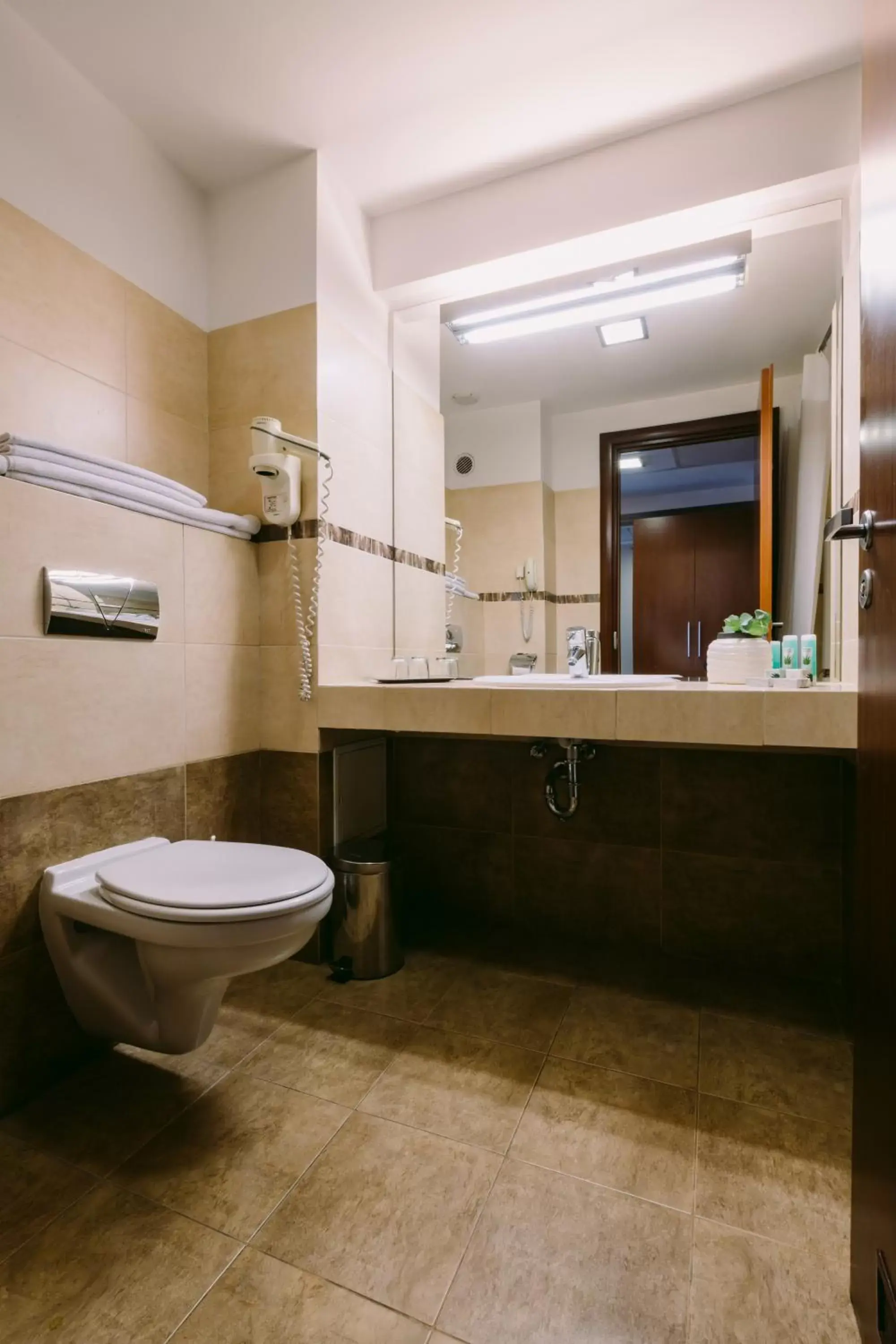 Bathroom in Hotel Timisoara