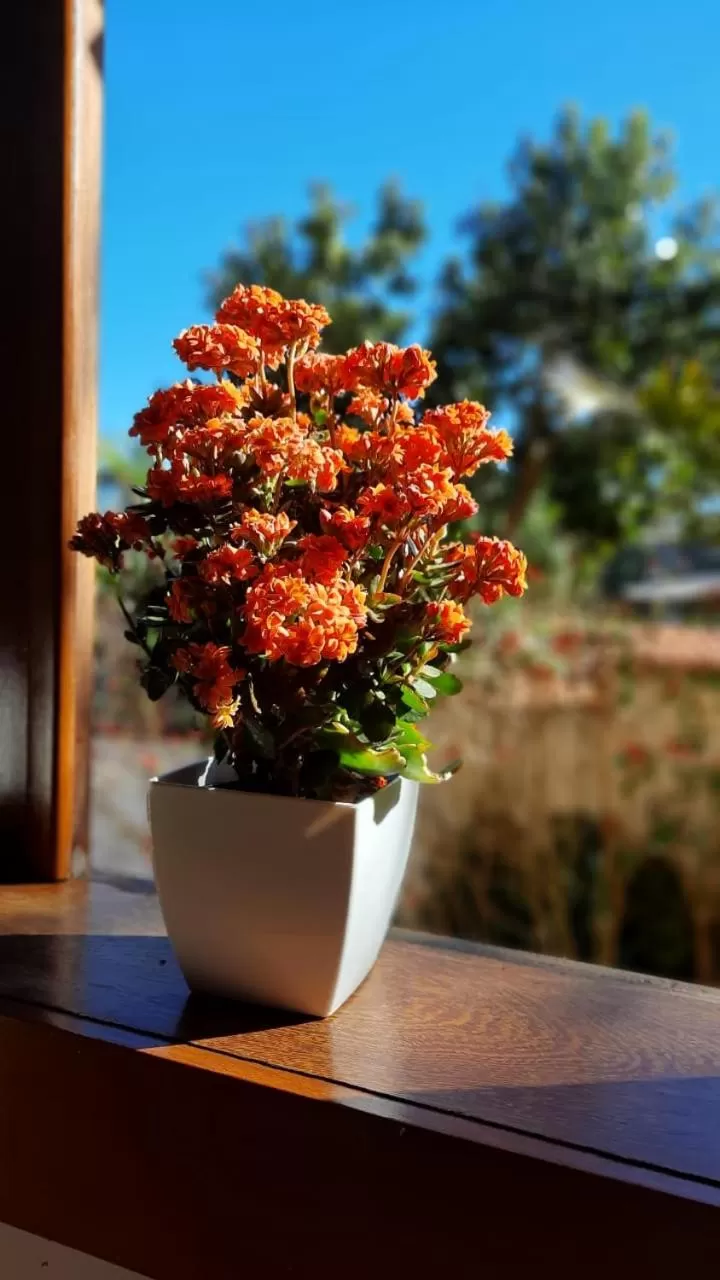 Pousada do Guinda DIAMANTINA -MG