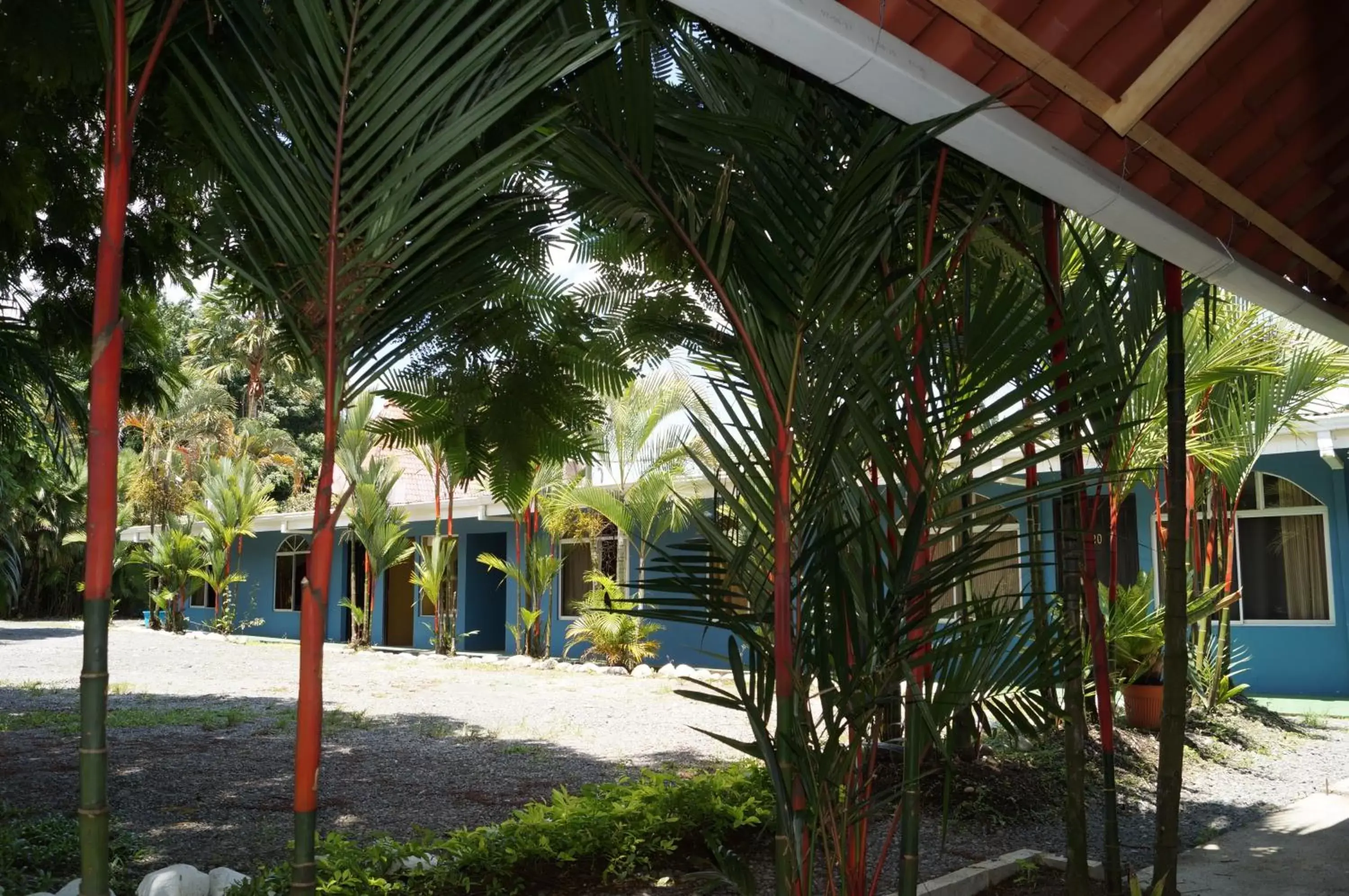 Garden in Hotel y Cabinas del Trópico