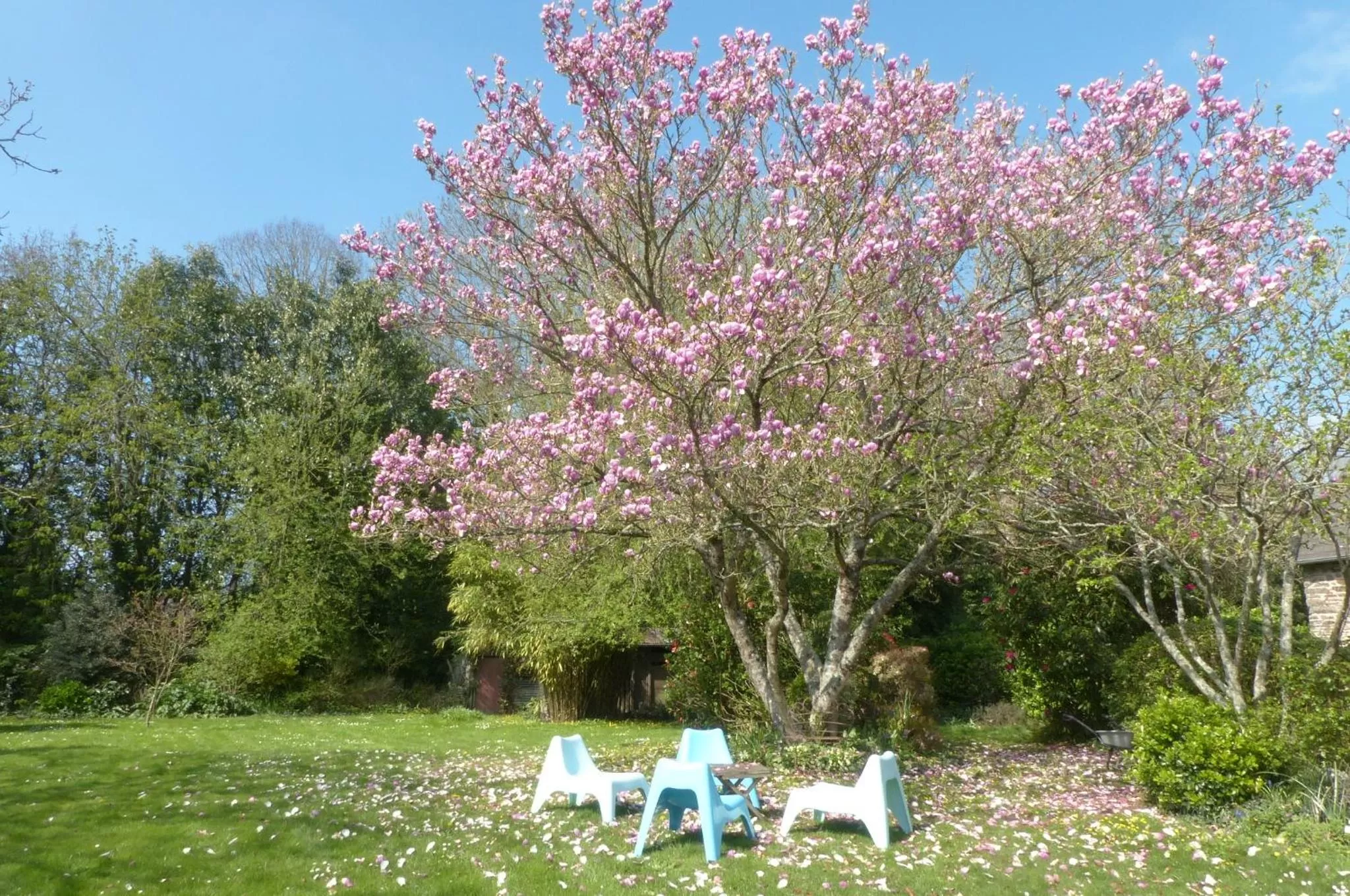 Garden in Maison d'hôtes KerCalow, Chambres d'hôtes