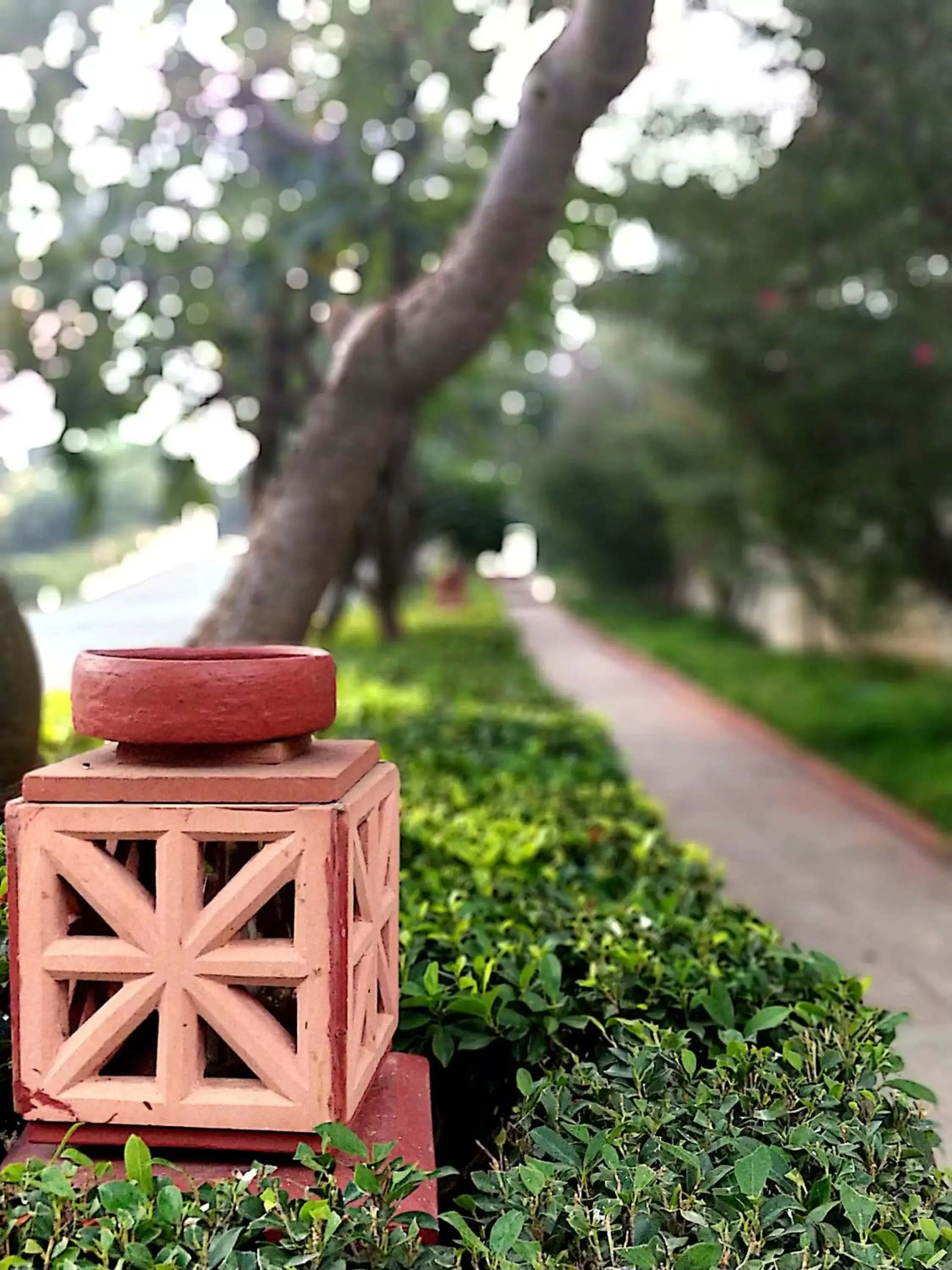 Garden in Trident Agra