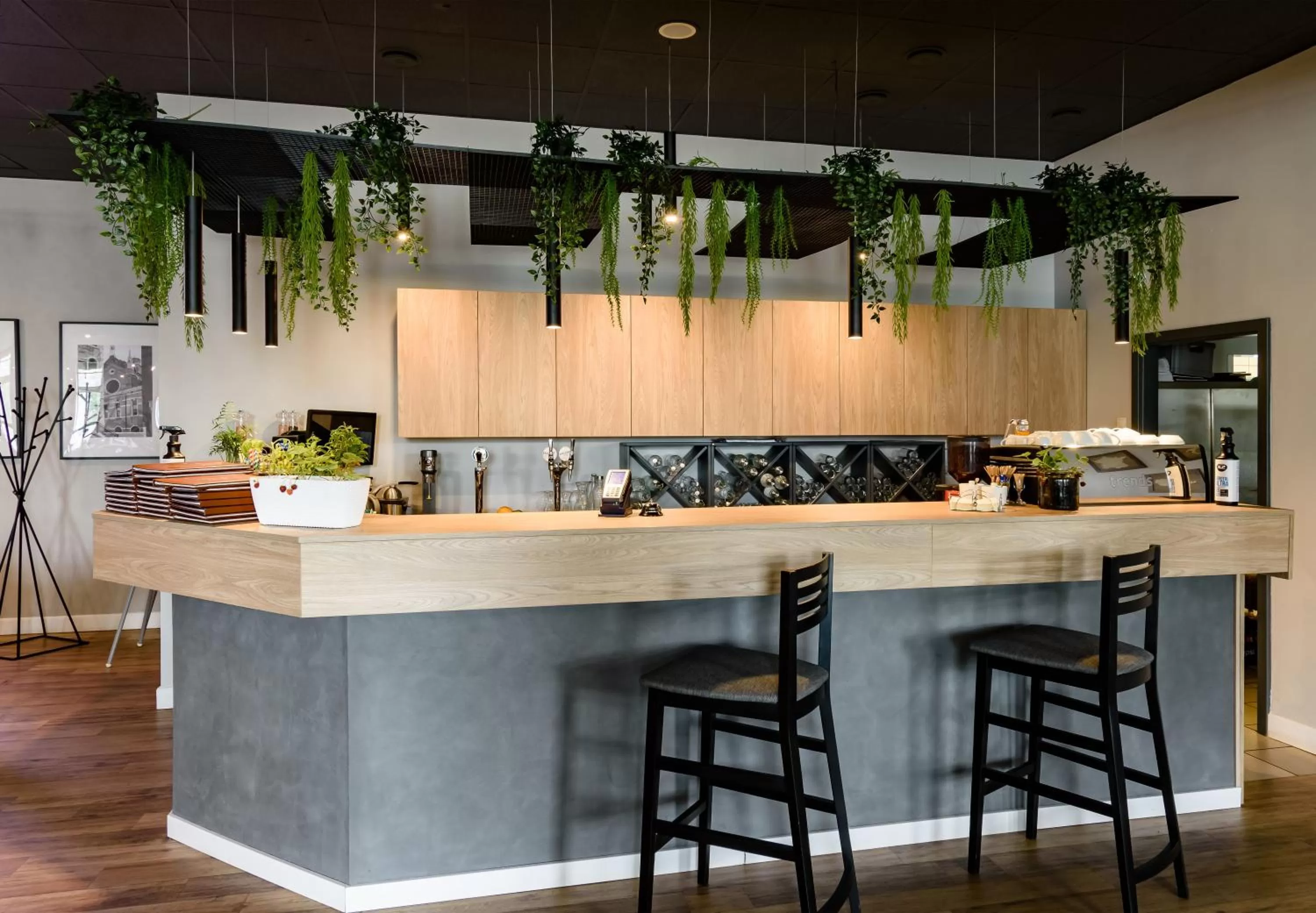 Lounge or bar in Hotel IOR