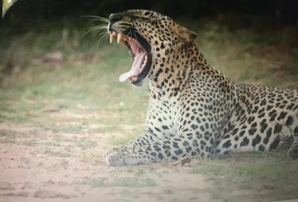 Jayasinghe Holiday Resort