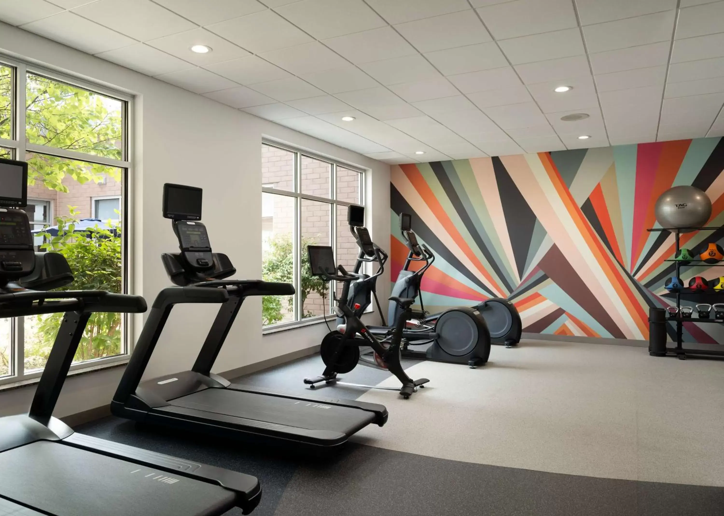 Fitness centre/facilities, Fitness Center/Facilities in Hilton Garden Inn Ann Arbor