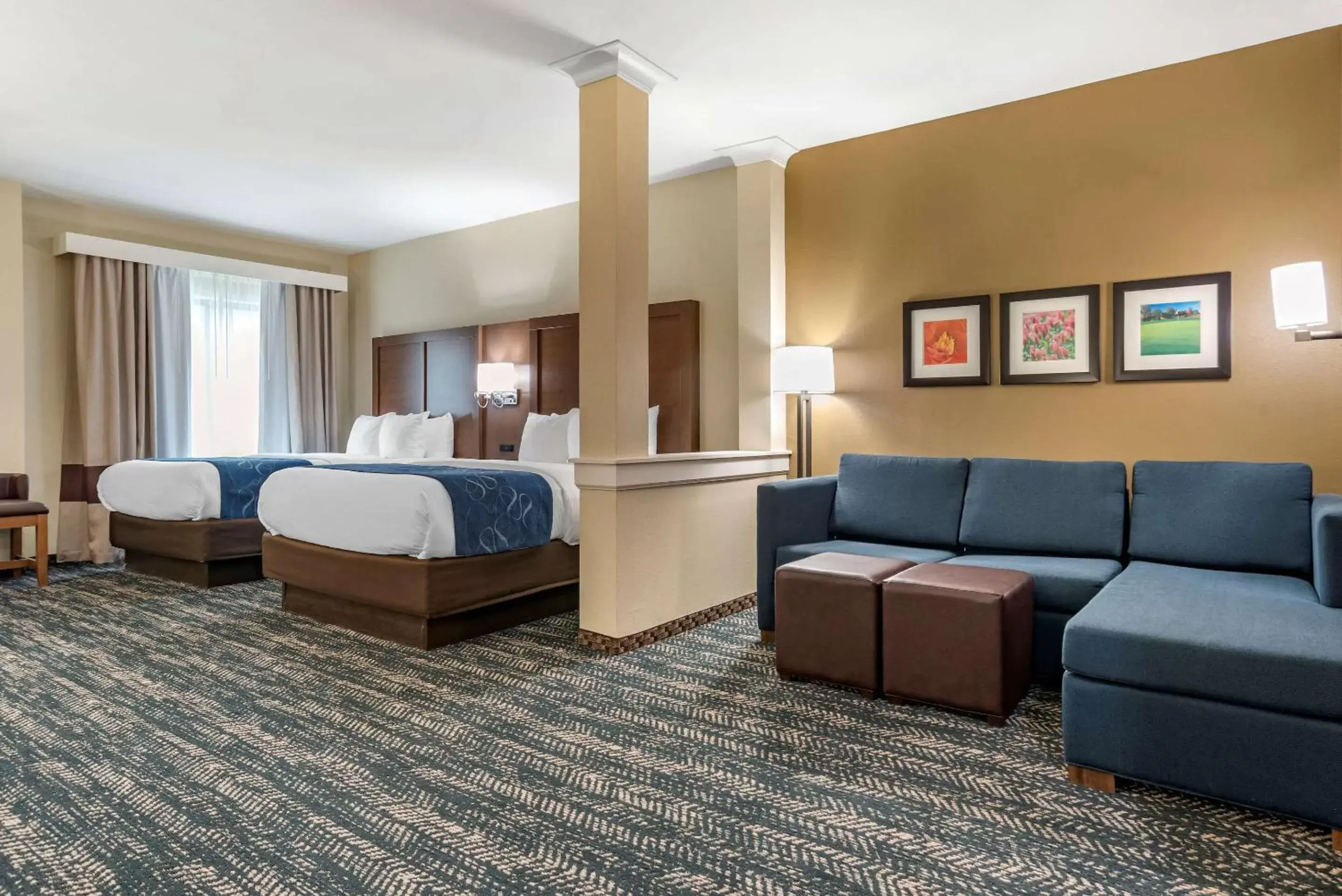 Photo of the whole room in Comfort Inn & Suites Downtown near University